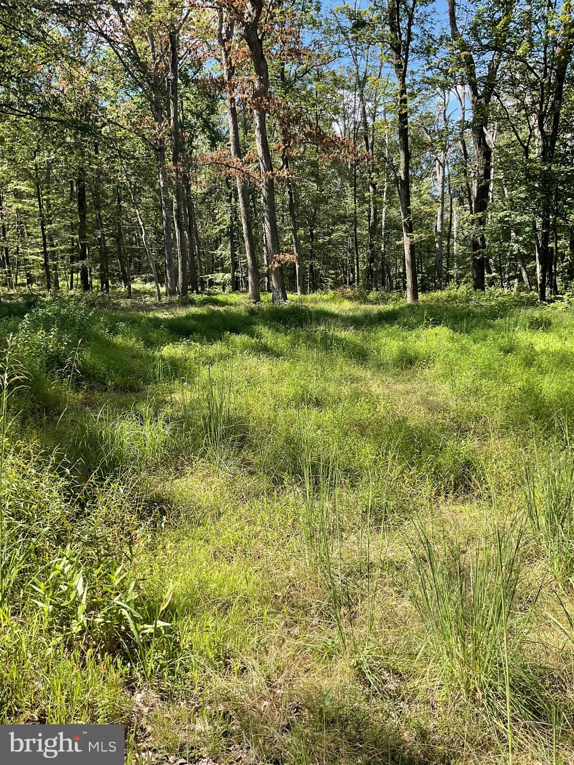 CABIN AT CAPON BRIDGE - Residential