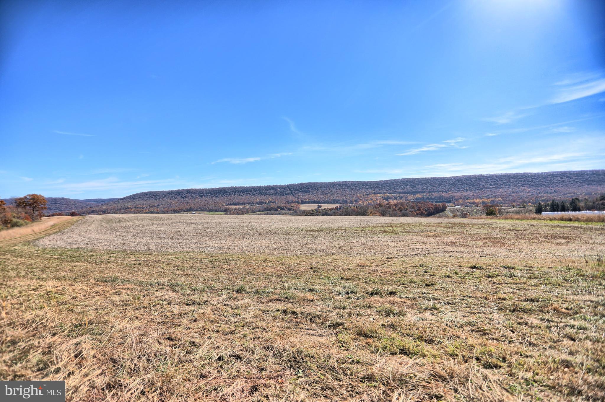 NONE AVAILABLE - Farm