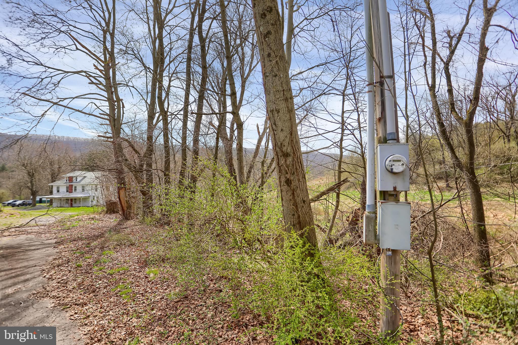 NONE AVAILABLE - Farm