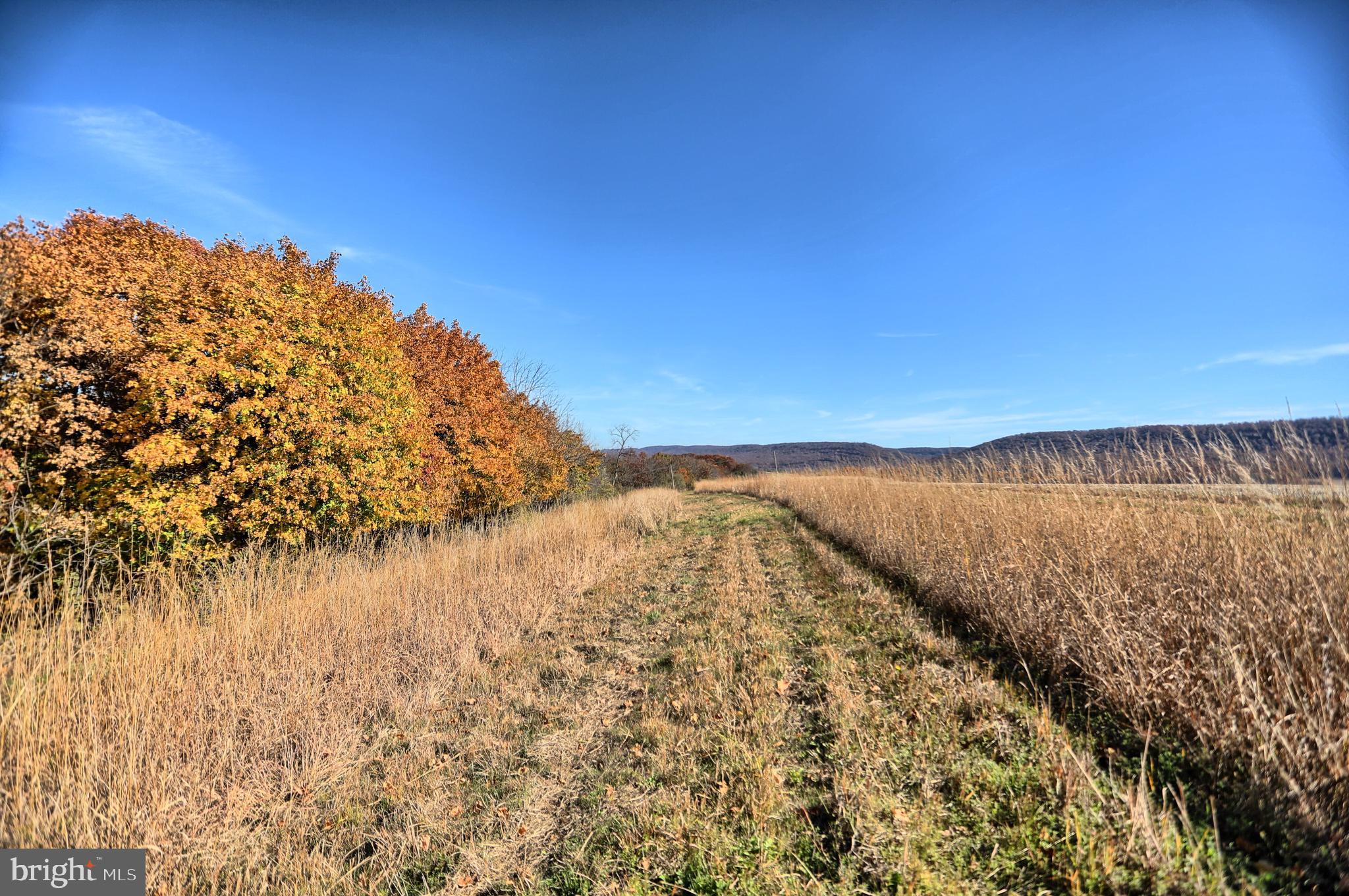 NONE AVAILABLE - Farm