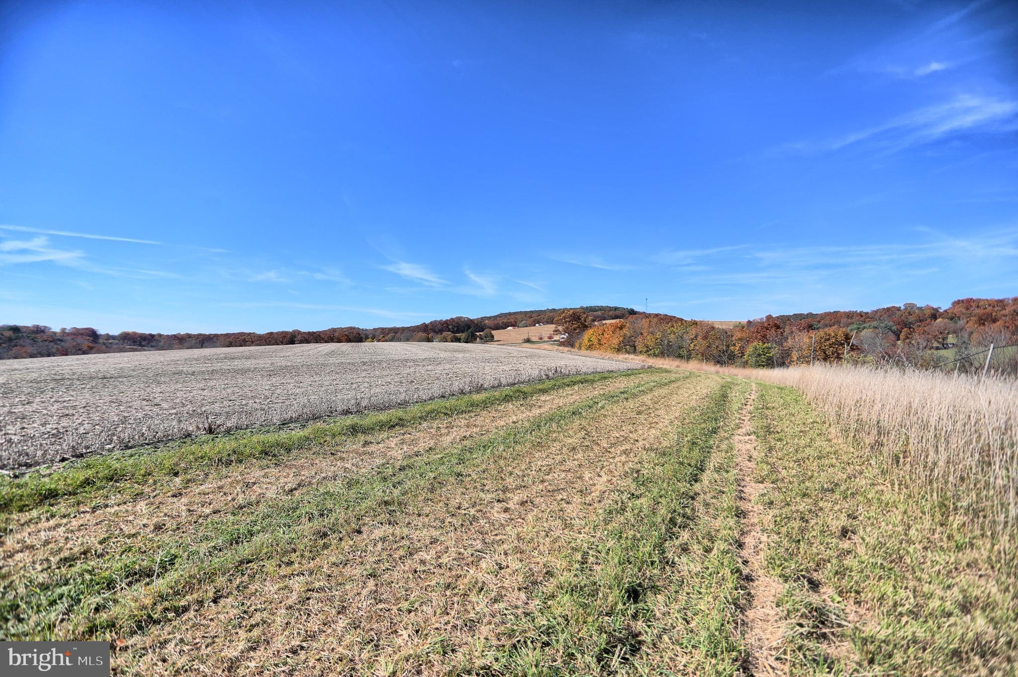 NONE AVAILABLE - Farm