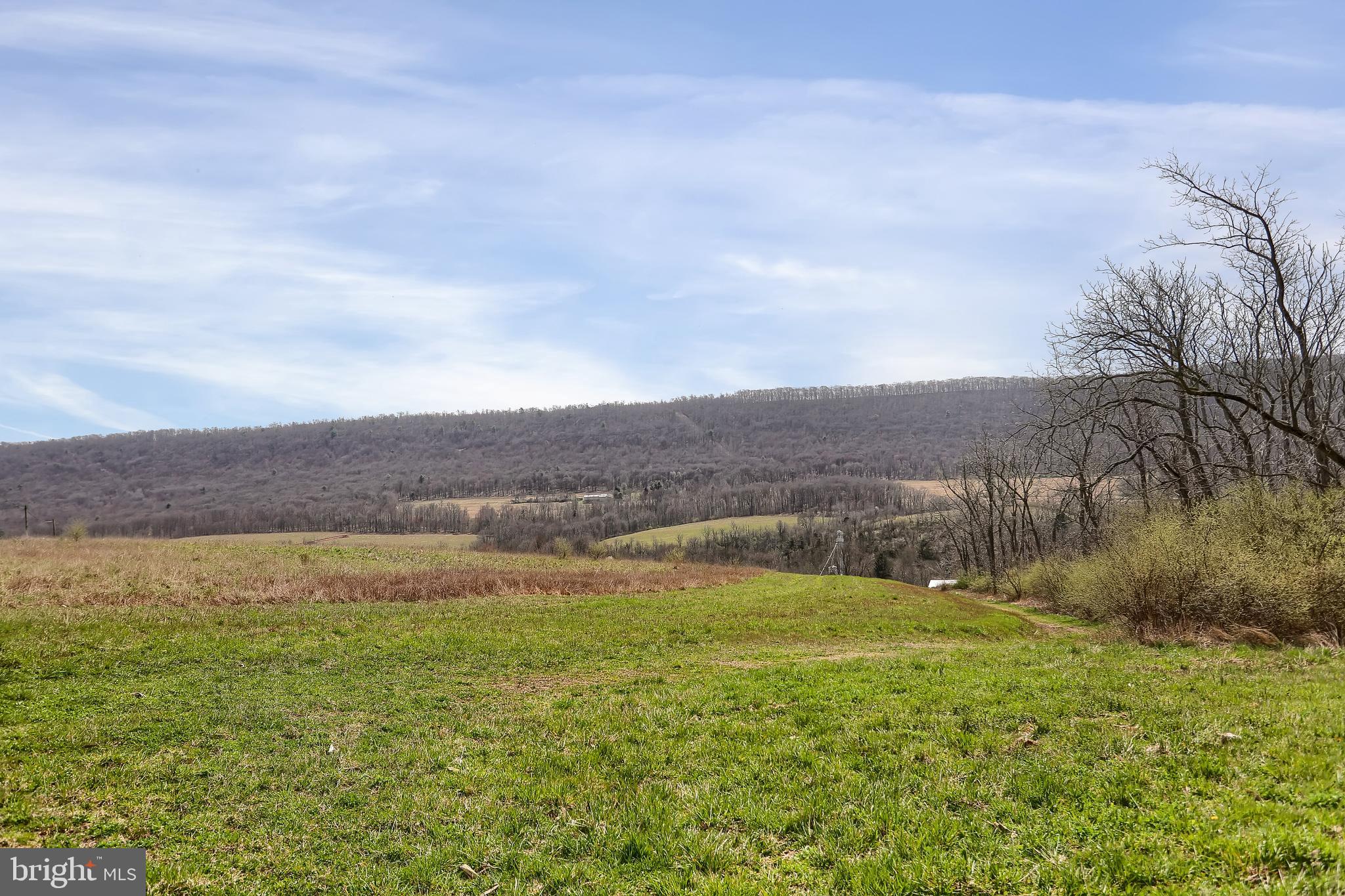 NONE AVAILABLE - Farm