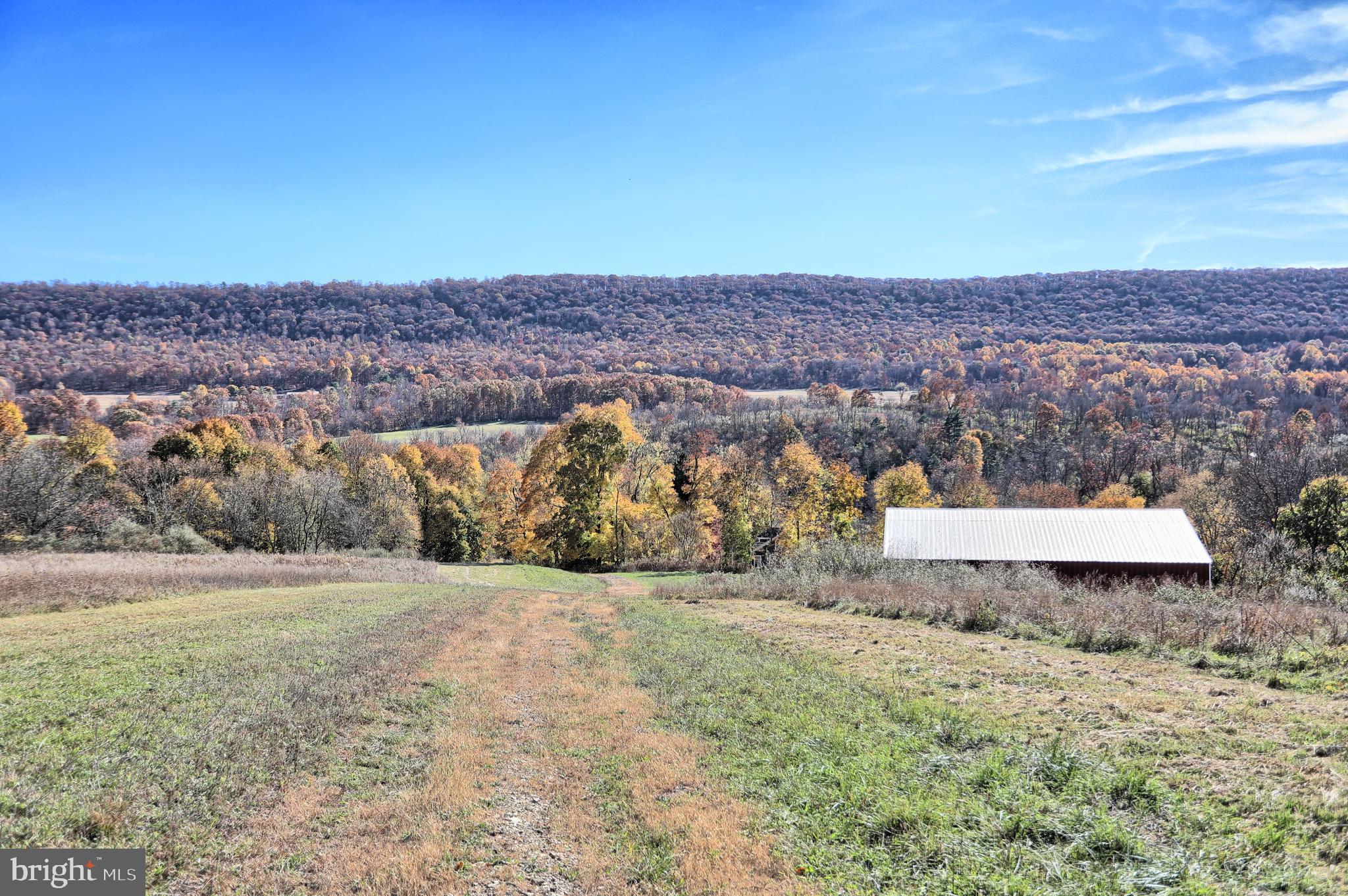 NONE AVAILABLE - Farm