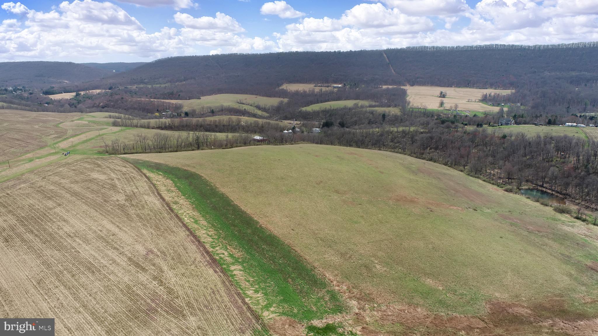 NONE AVAILABLE - Farm