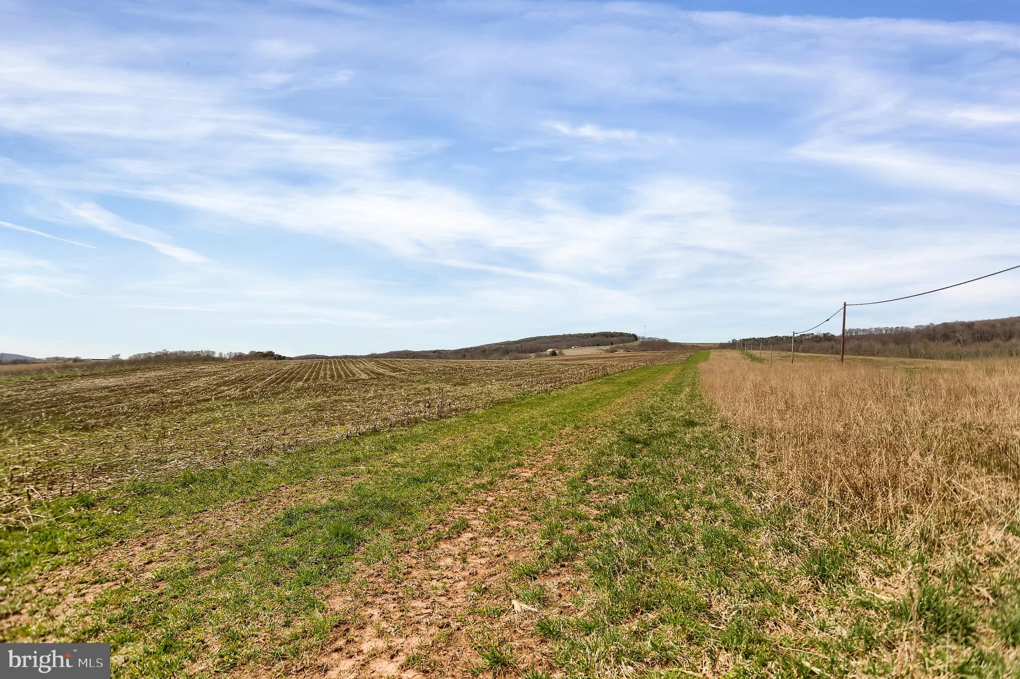 NONE AVAILABLE - Farm