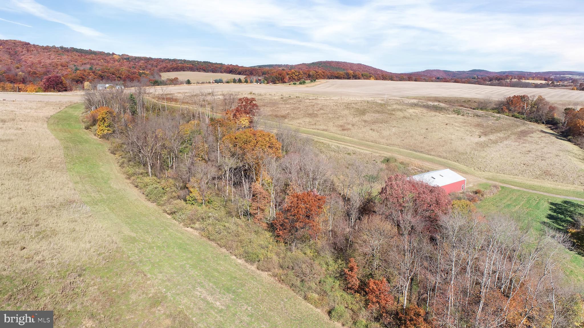 NONE AVAILABLE - Farm