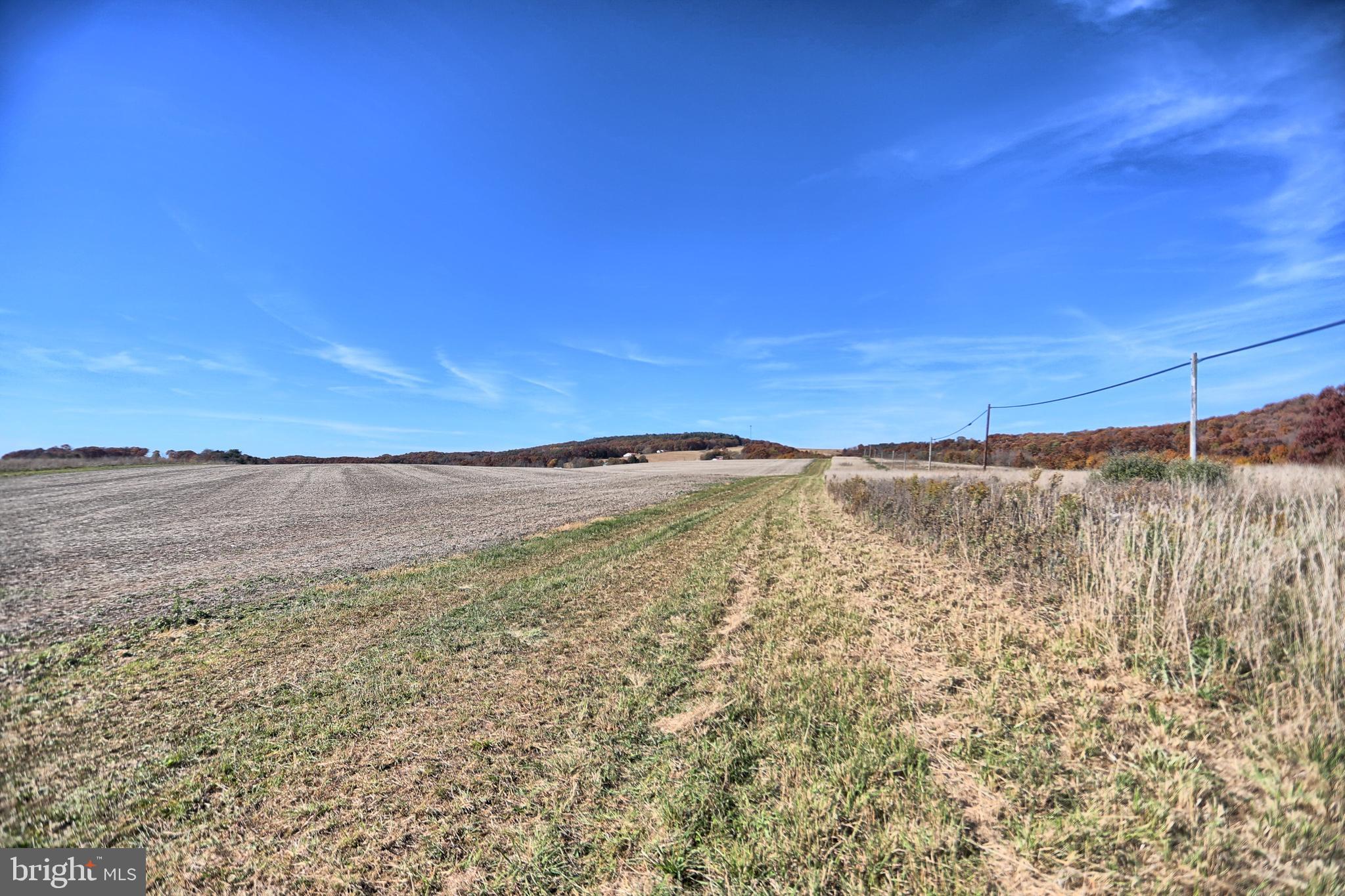 NONE AVAILABLE - Farm