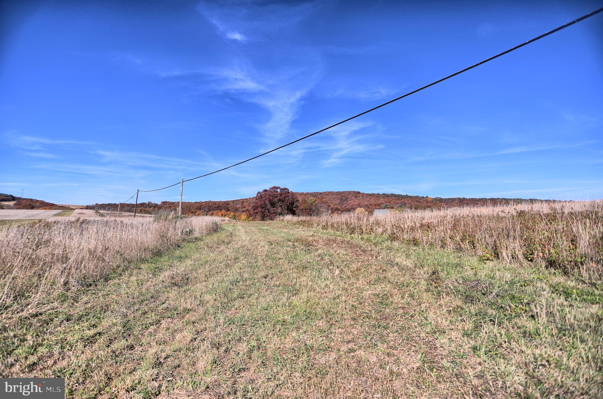 NONE AVAILABLE - Farm