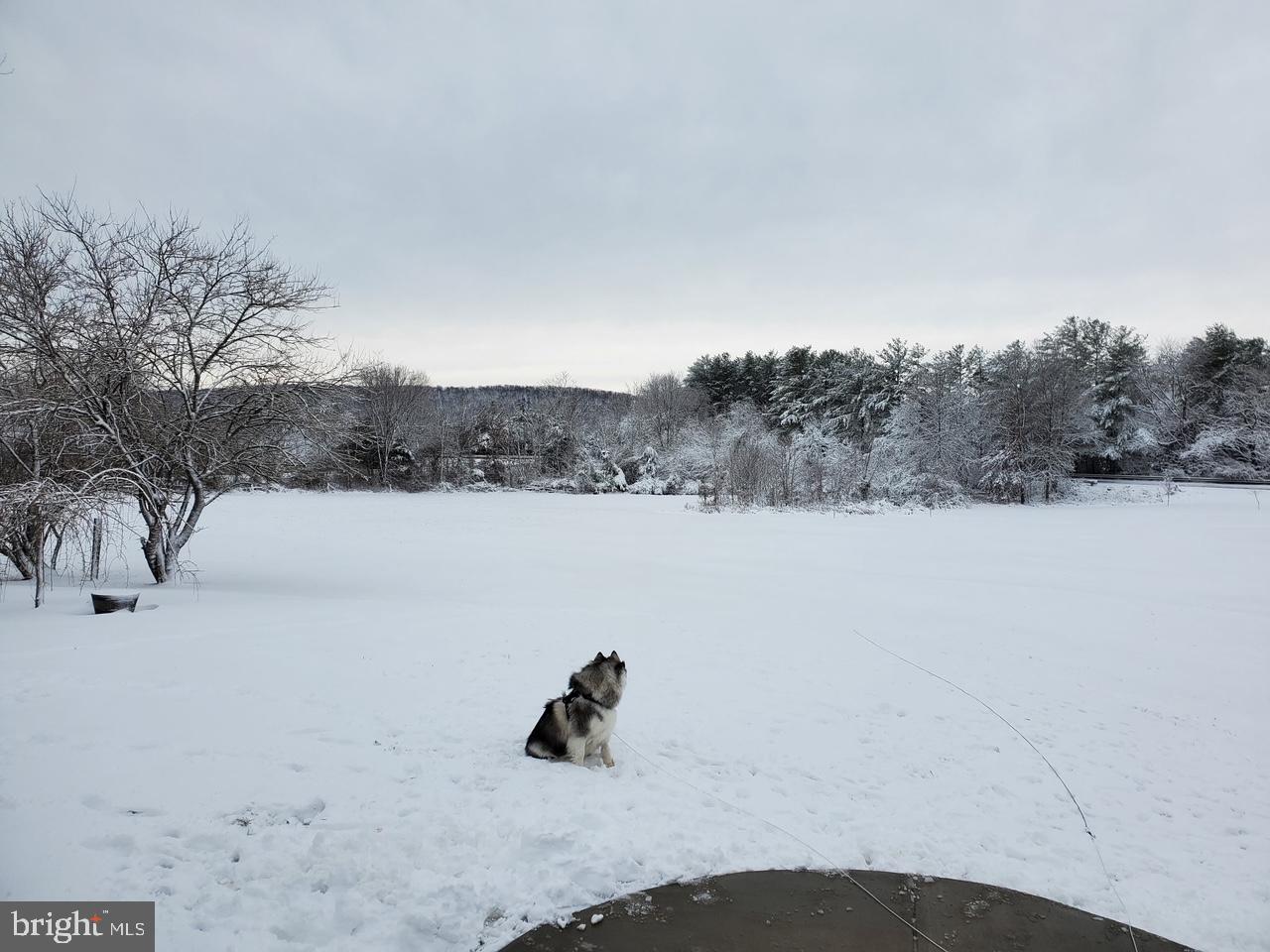 MOUNTAIN FARM - Residential