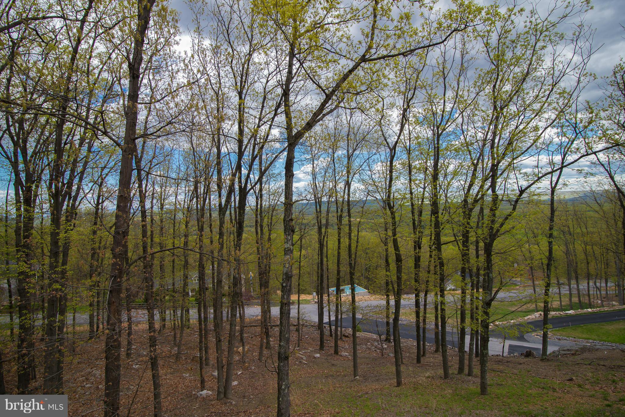 THE WOODS RESORT - Residential Lease