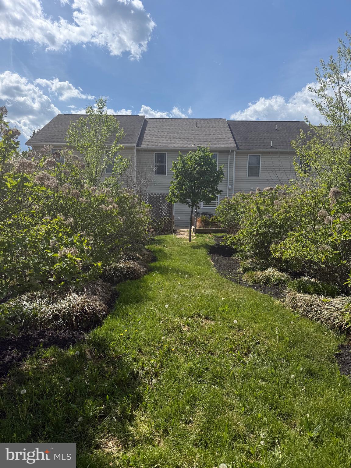 LOCUST HILL - Residential