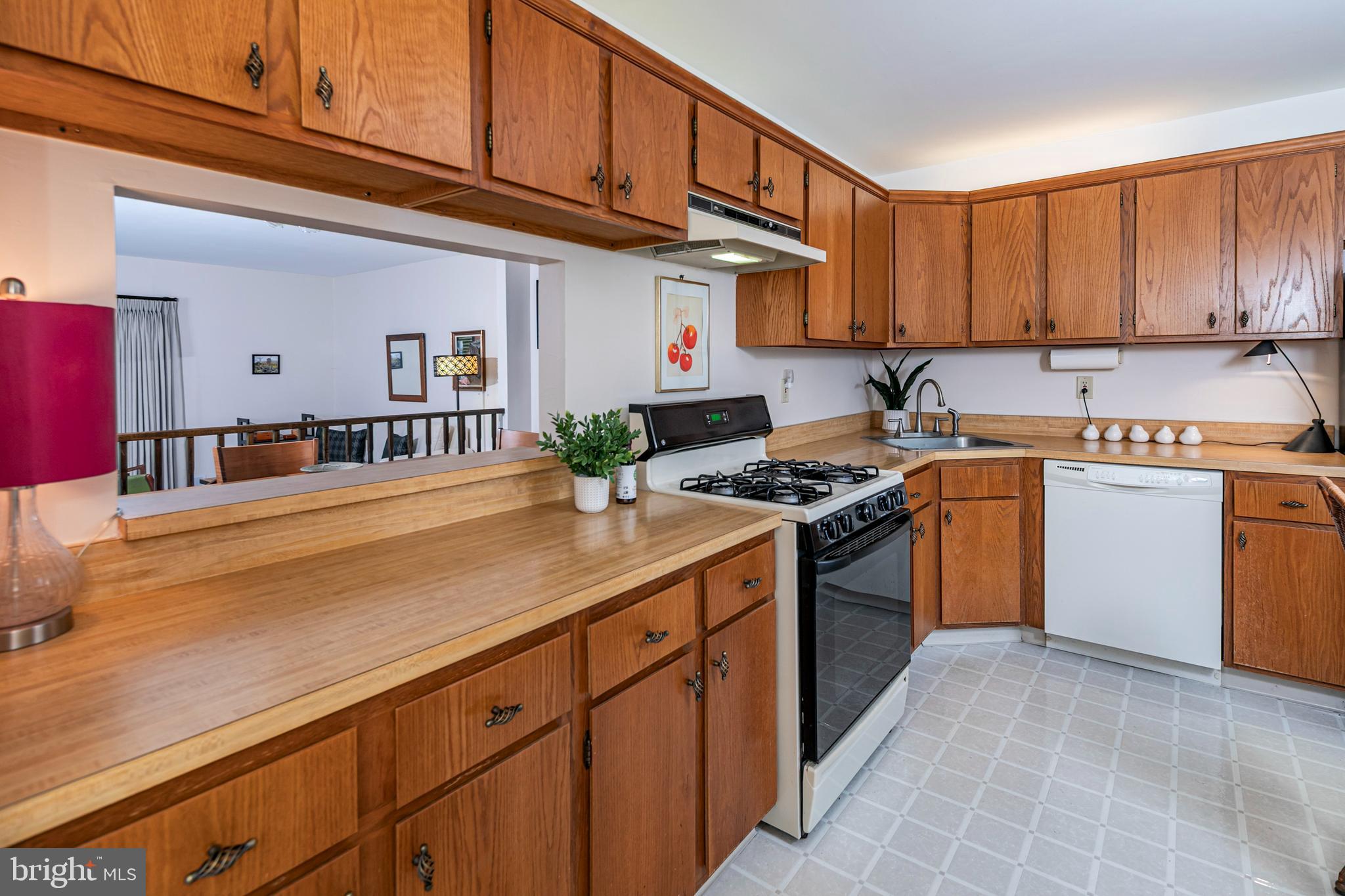 11 ABELIA COURT