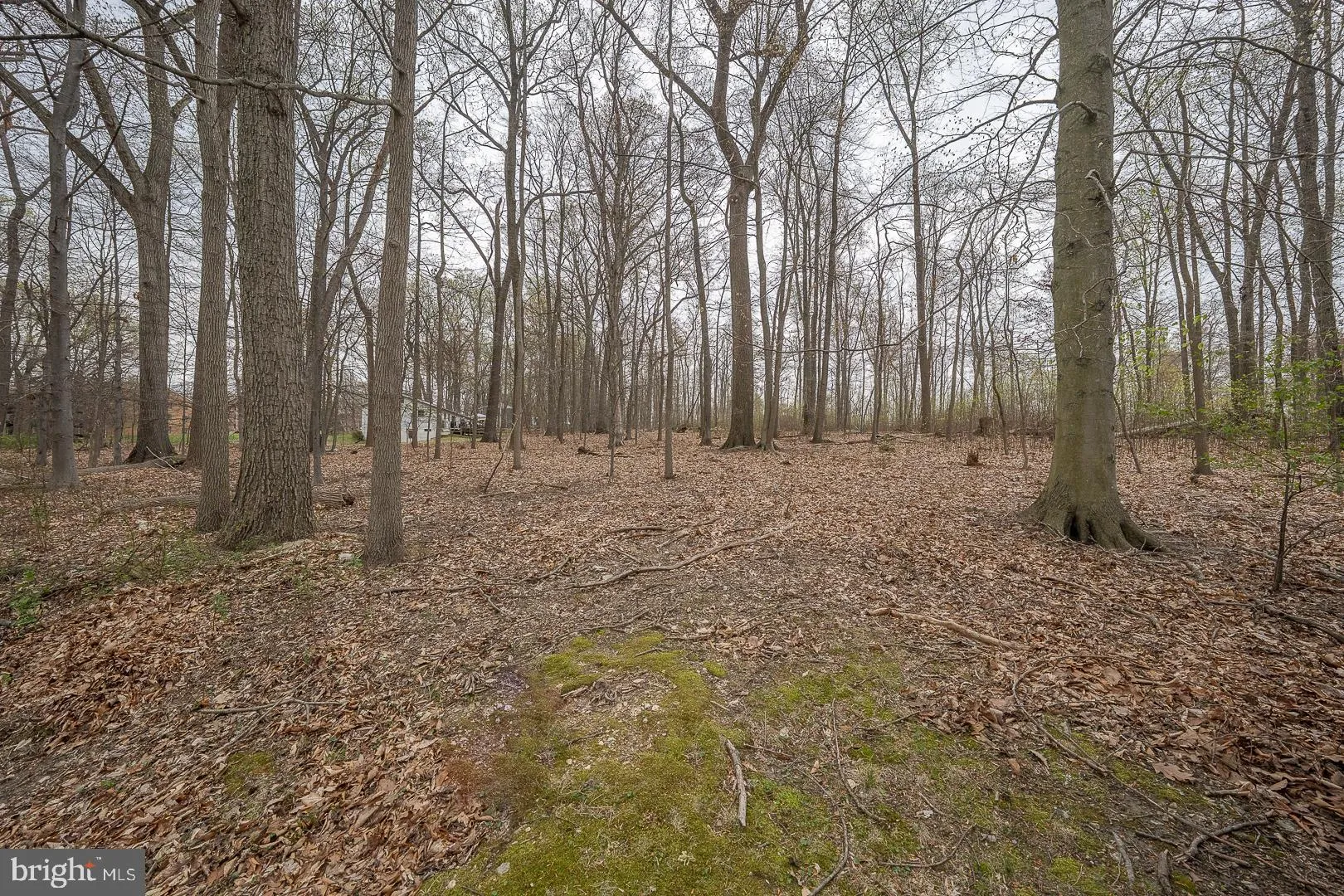 Downingtown, Pennsylvania 19335, United States, 3 Bedrooms Bedrooms, ,2 BathroomsBathrooms,Residential,Pending,112862