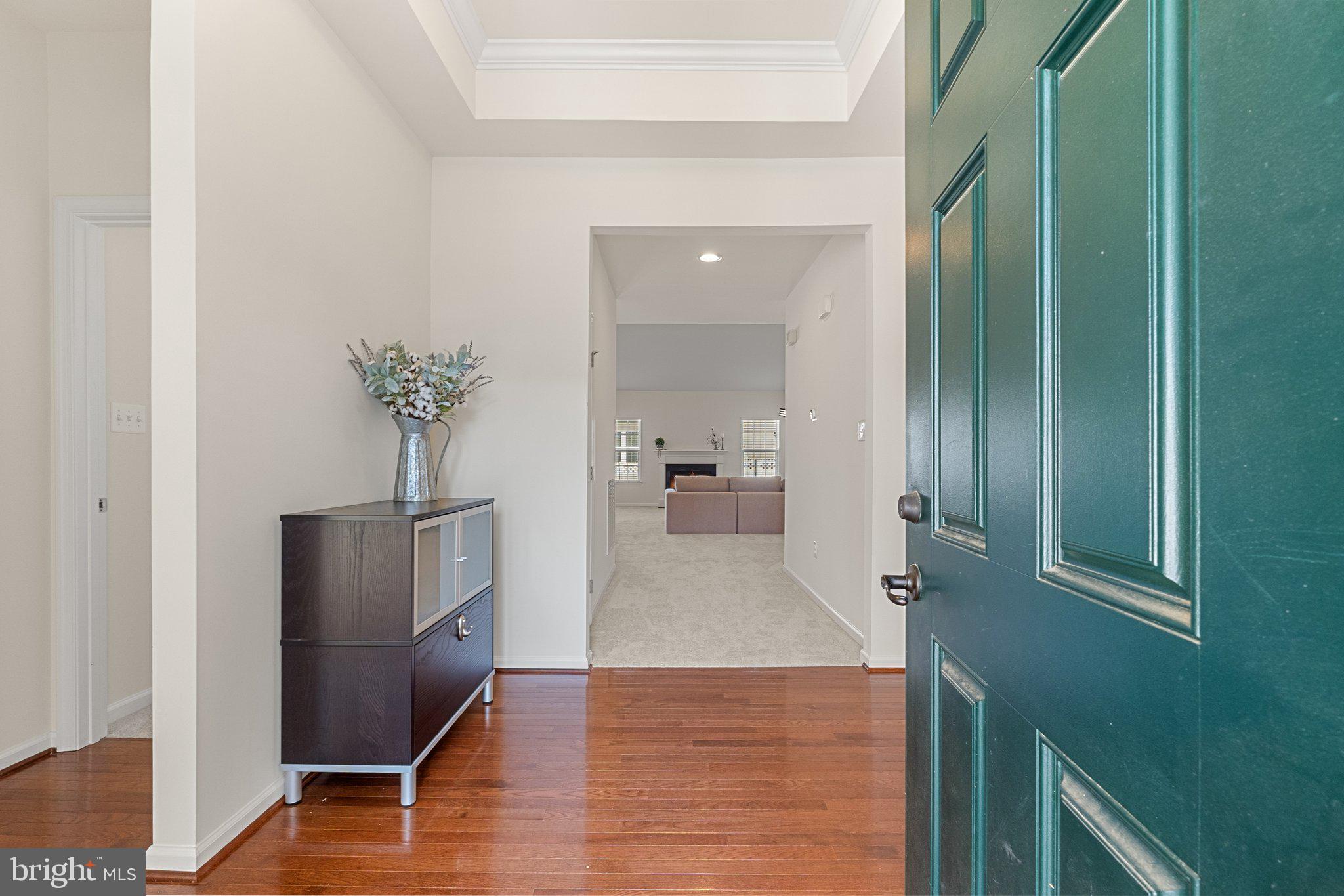 SHENANDOAH SPRINGS - Residential