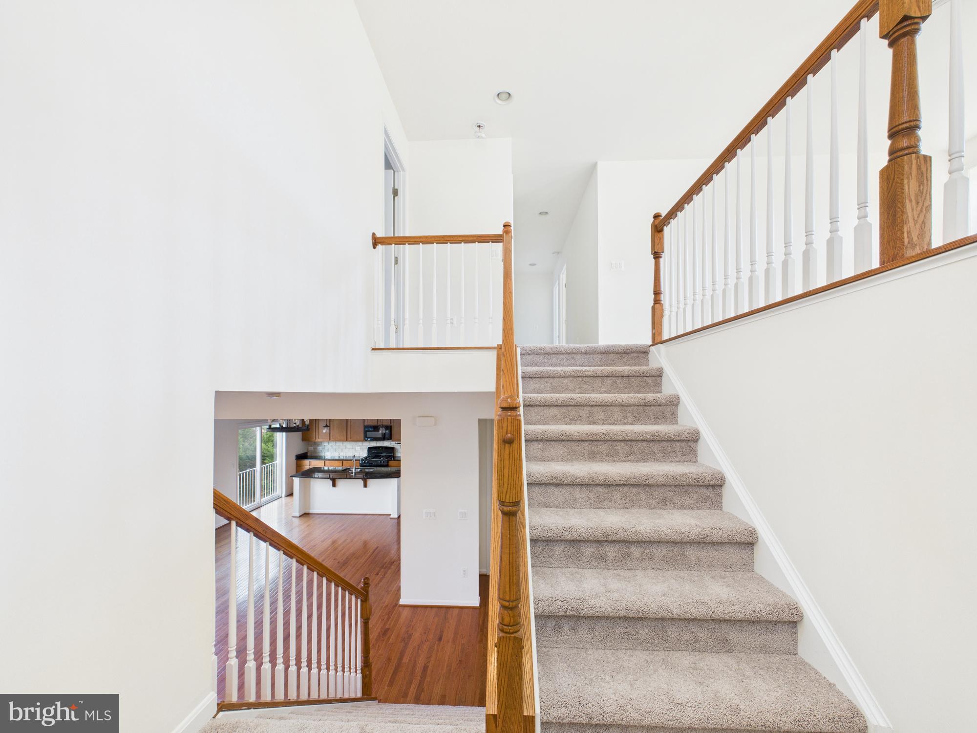 FOREST EDGE - Residential