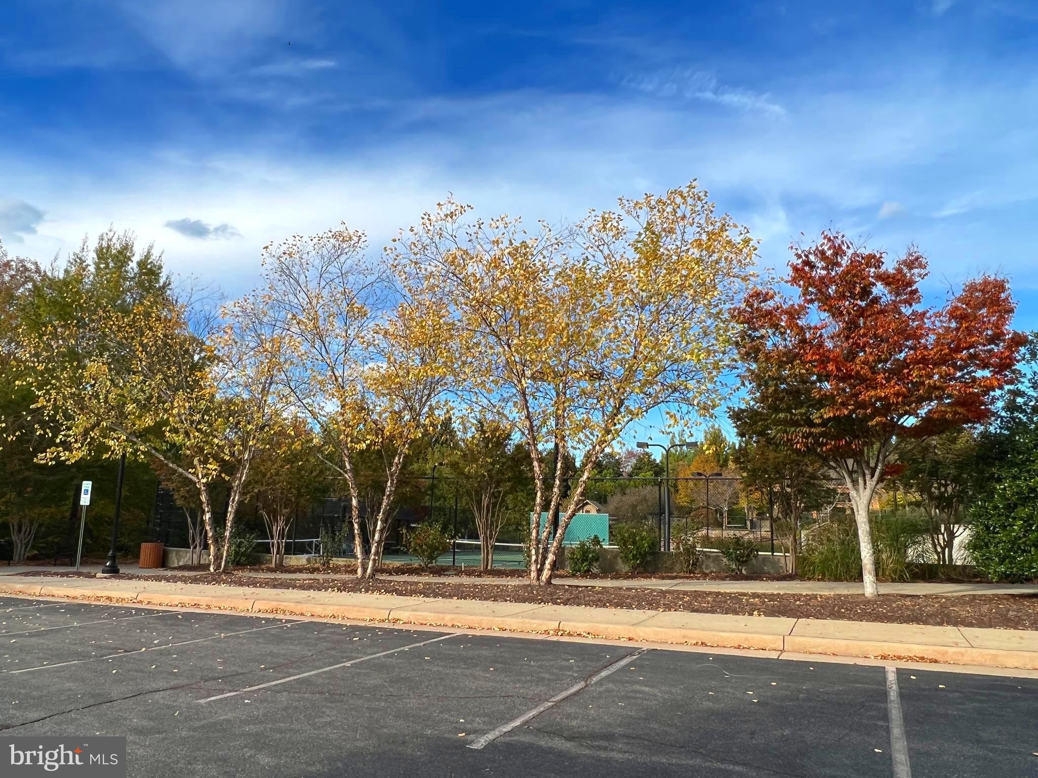 CELEBRATE VIRGINIA NORTH - Residential