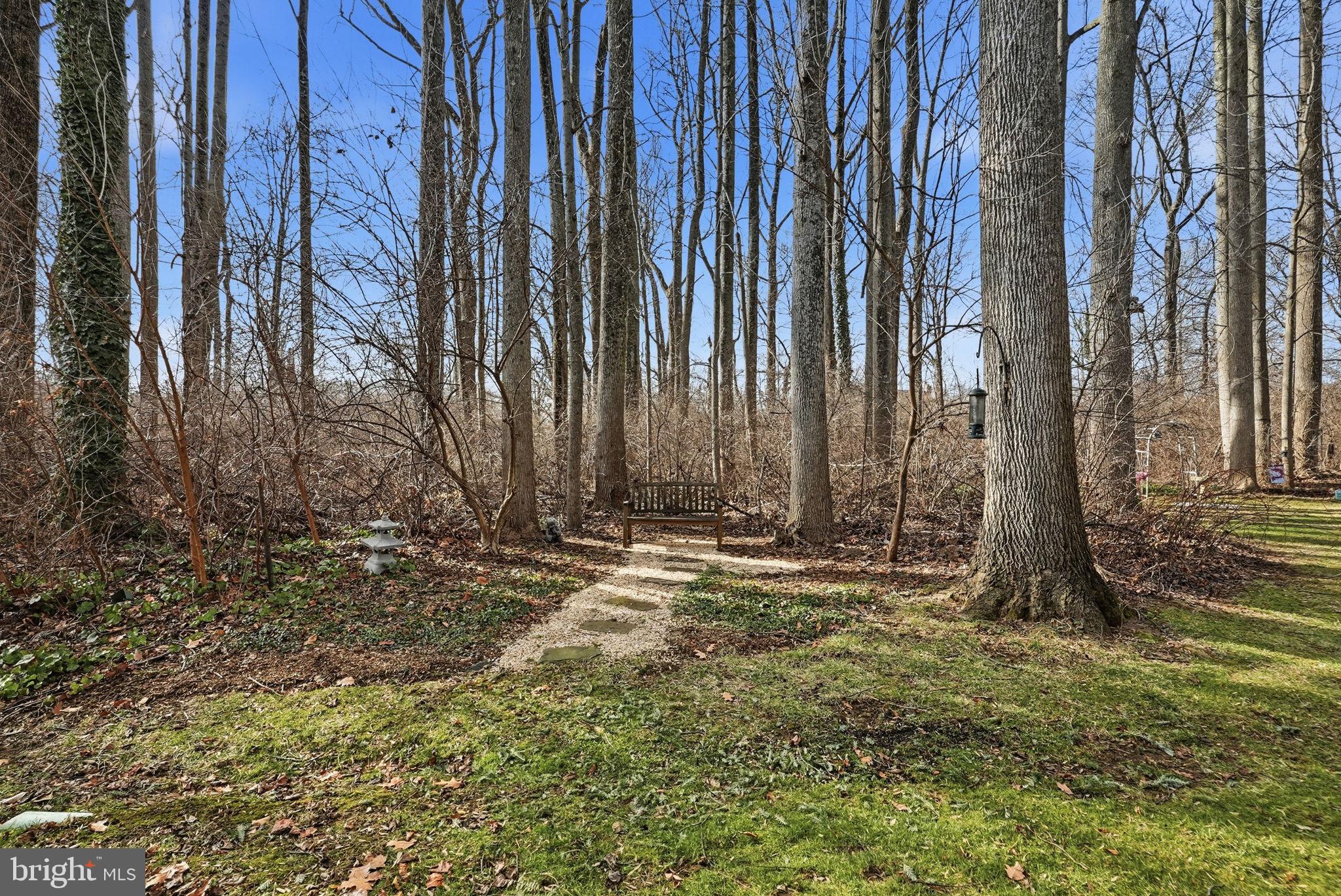 WILLISTOWN WOODS - Residential