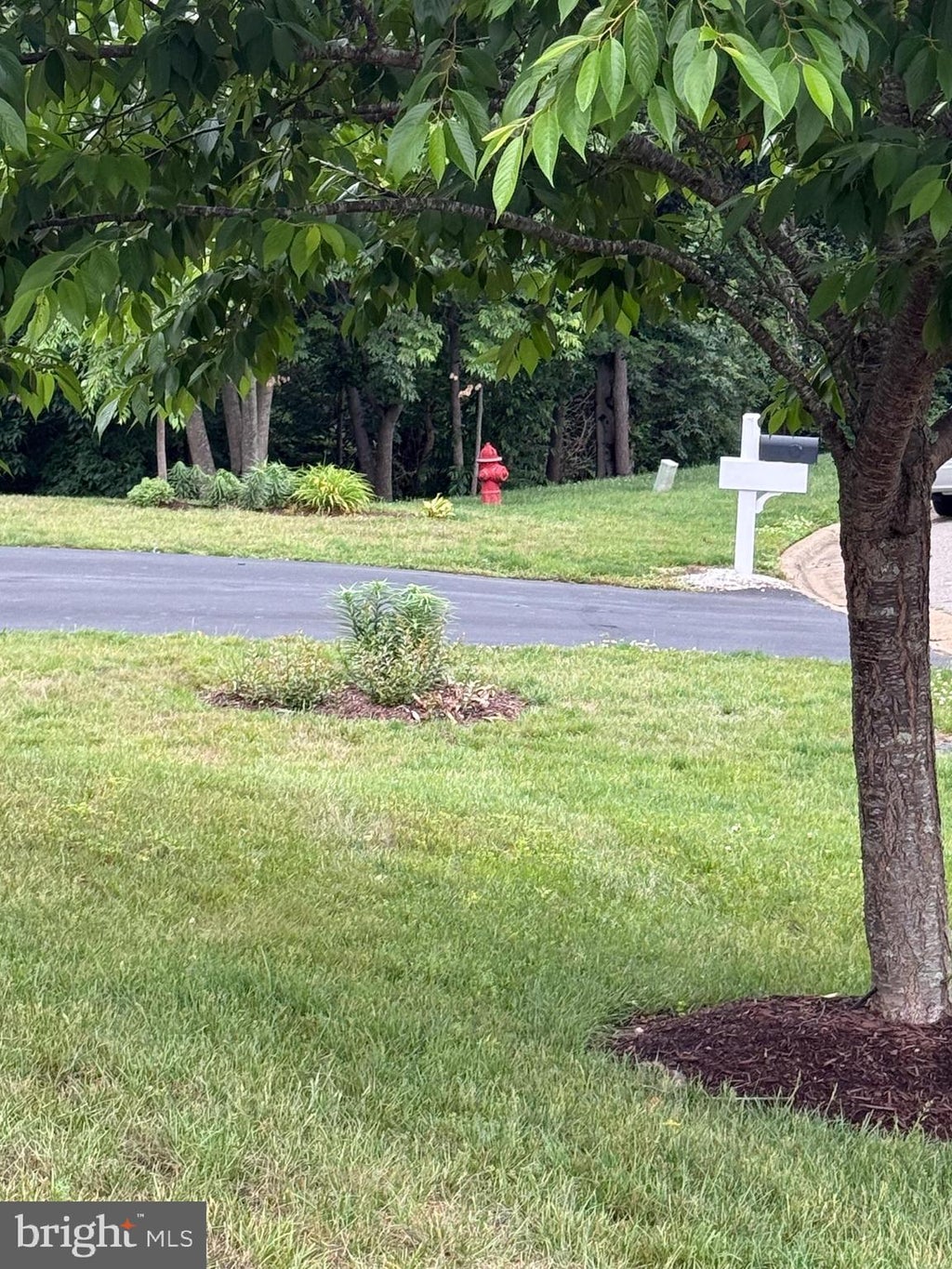 Photo of 4210 Stonehaven Way, FREDERICKSBURG, VA 22408 (MLS # VASP2042332)