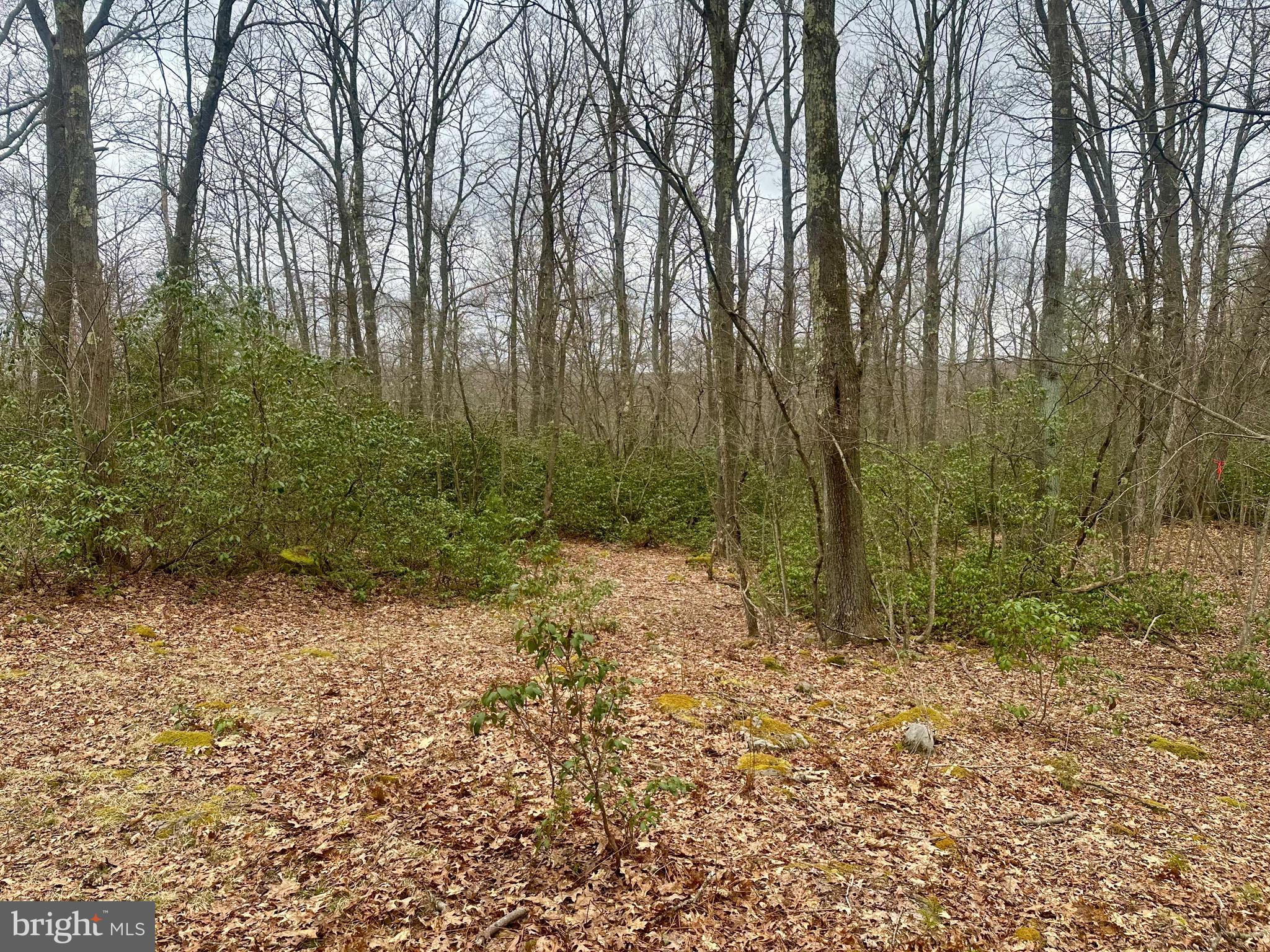 PINEY MOUNTAIN CORP - Residential