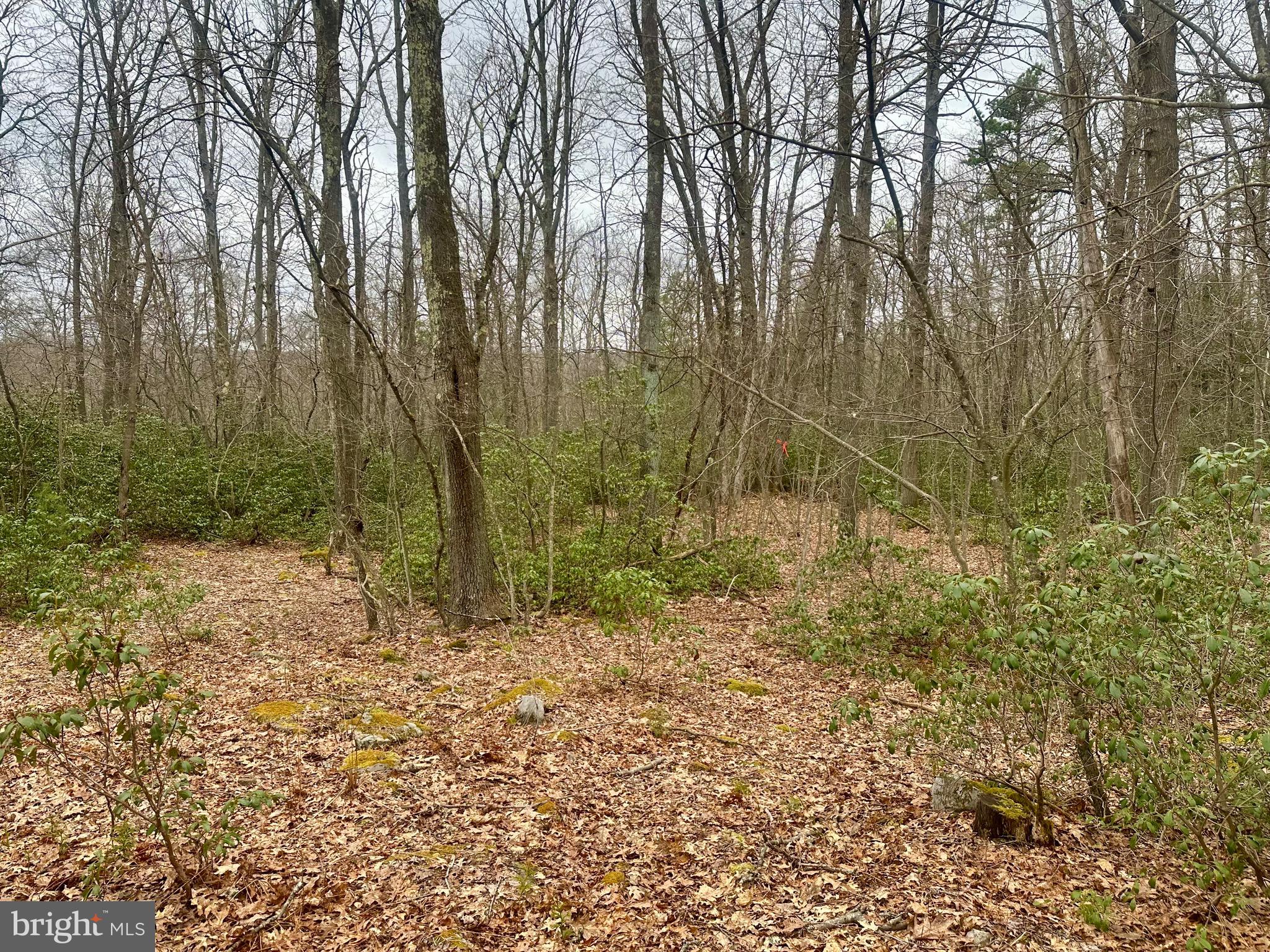 PINEY MOUNTAIN CORP - Residential