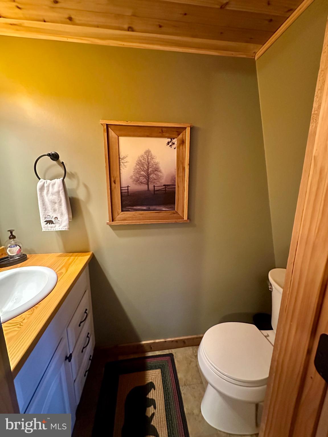 PINEY MOUNTAIN CORP - Residential