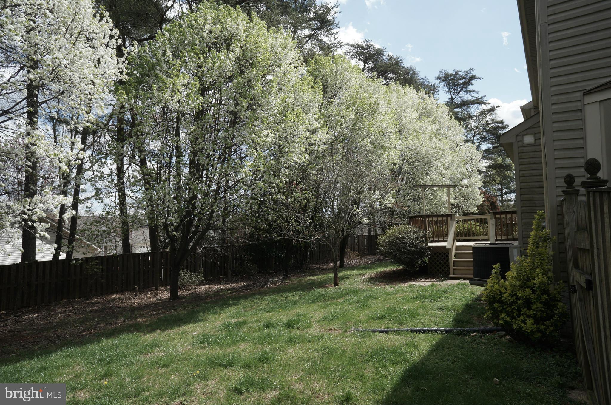 SETTLERS LANDING - Residential