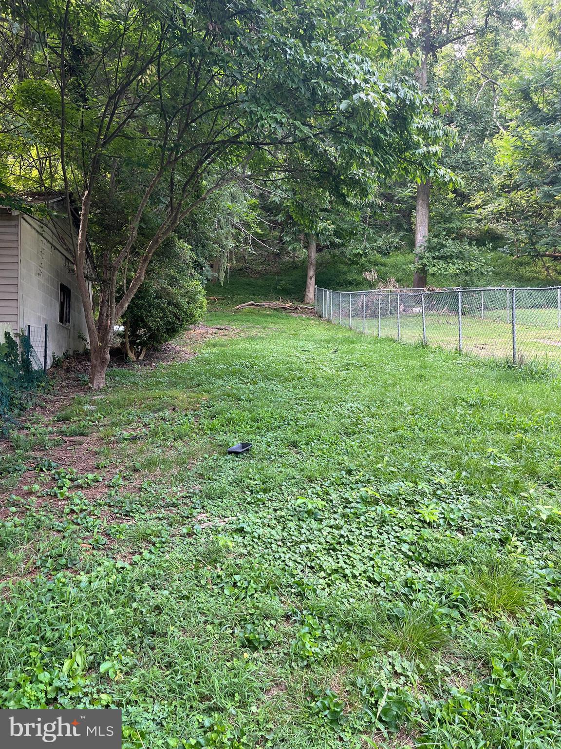 LEWISTOWN BORO - Residential