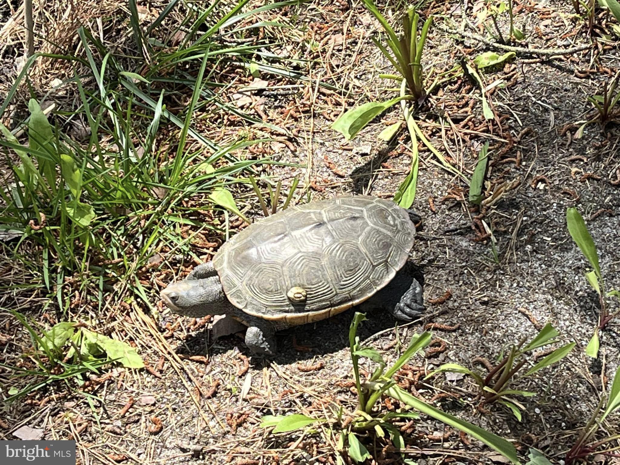 VILLAS OF BETHANY WEST - Residential
