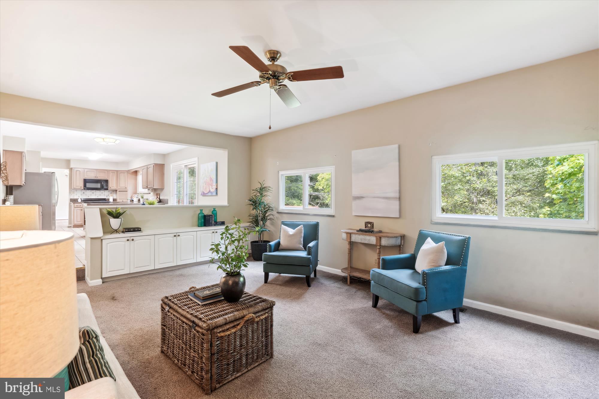 BLUE RIDGE FARMS - Residential