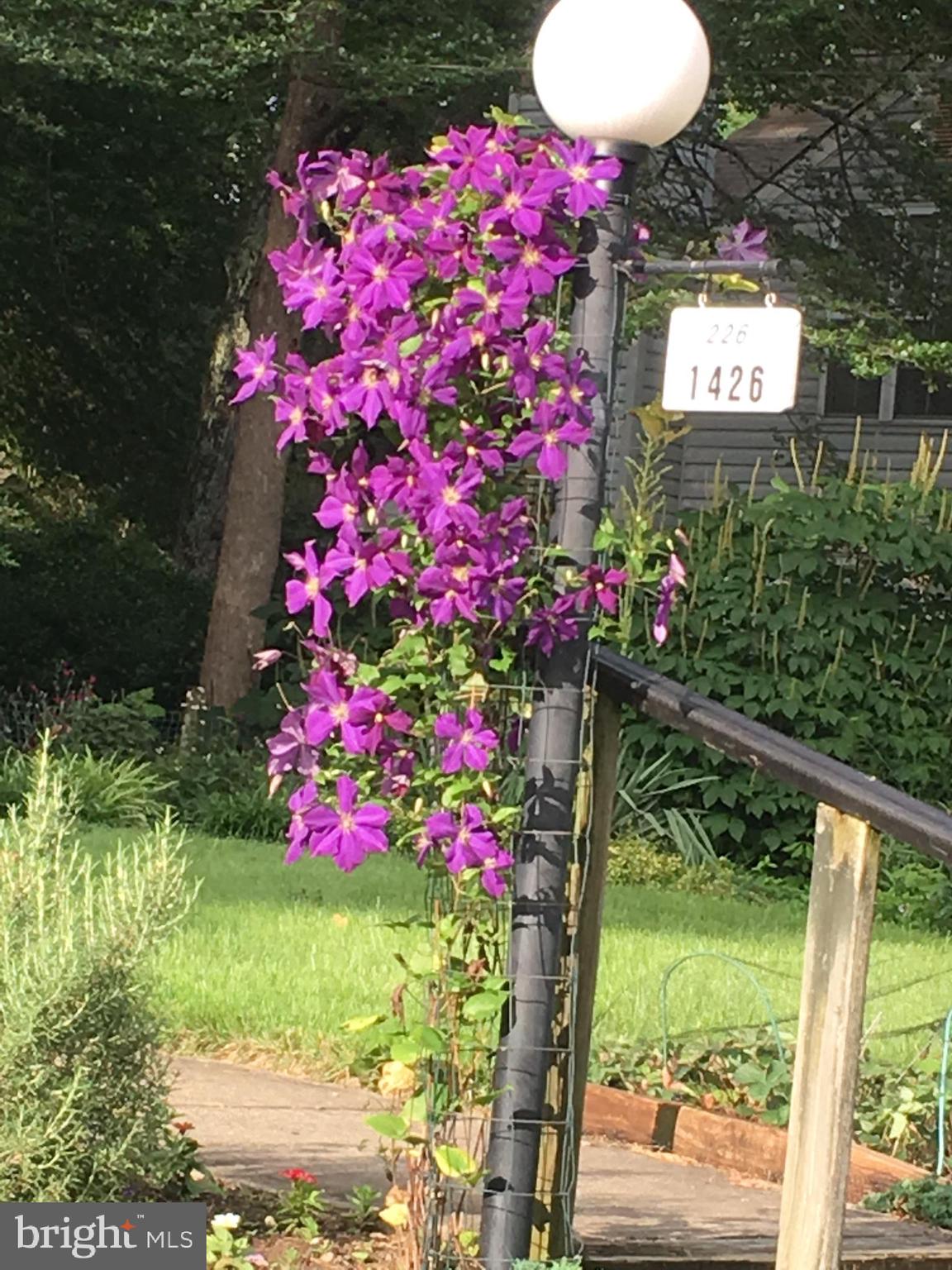 HOMEWOOD - Residential