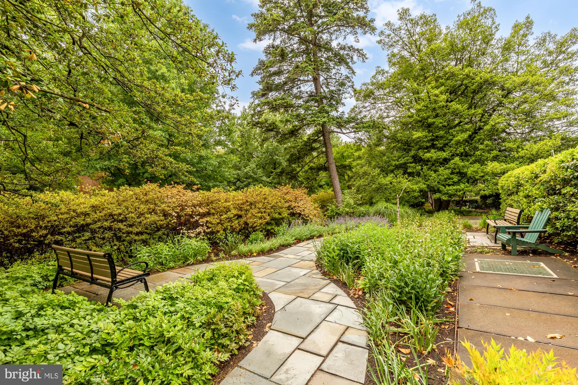 4301 MASSACHUSETTS AVENUE NW 6008