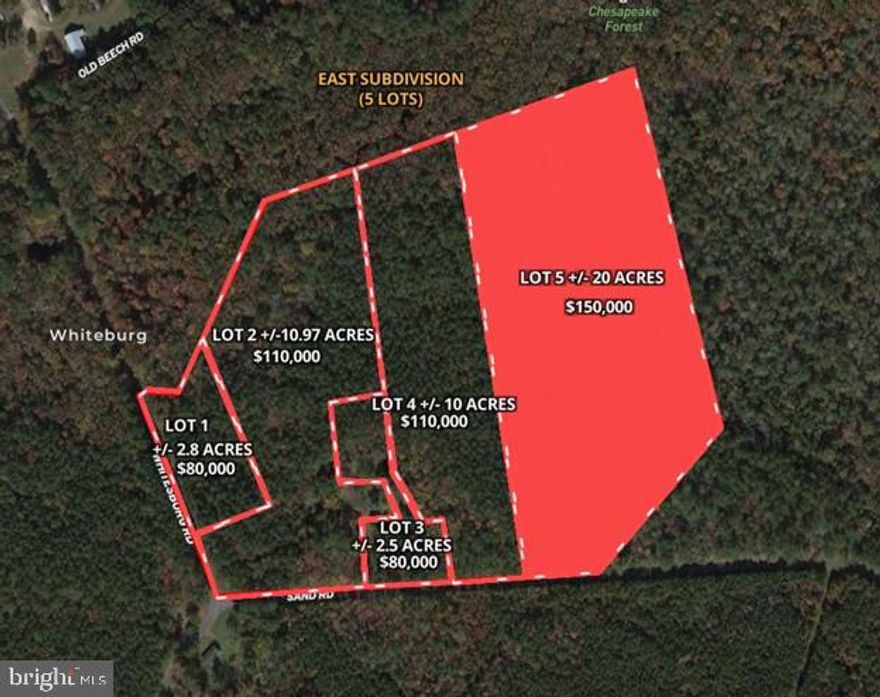 19.69+/- acre lot located on Whitesburg Road in Worcester County, MD. Lot 5 has an approved perc and is ready to build. Please view the survey provided in documents to see the location of approved septic area. There are four other approved lots available in this subdivision.  There will be no HOA however, a community covenant will be drafted prior to closing. Call listing agent prior to visiting property. There is a current hunting lease in place.