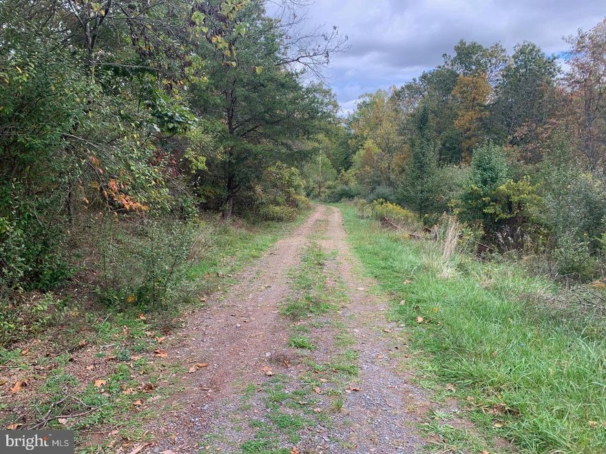 Discover 4.23 acres of privacy and potential at 38 Eastview Drive. Completely unrestricted!! Tucked away in a peaceful setting, this spacious lot offers the perfect backdrop for your dream home or investment project. Public water and septic are on site; buyers are responsible for verifying and certifying all systems. The access road is already in place and just needs some clearing to open up the way. Property is being sold as is—buyers to perform their own due diligence. Enjoy the seclusion of a private setting while being just minutes from town amenities—bring your vision and make this serene property your own!