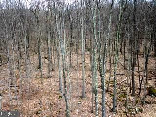 UNRESTRICTED RAW LAND, DIRECTLY BORDERS STATE LAND (OVER 2000 ACS - MD DEPT OF NATURAL RESOURCES), FULLY WOODED & MARKETABLE TIMBER (RECENT TIMBER EVALUATED BETWEEN $100K-120K IN 2024), TROPHY BUCK HUNTING (INCLUDES CUSTOM BUILT HUNTING BLIND), SHORT DRIVE TO DEEP CREEK LAKE, STONES THROW TO YOUGHIOGHENY RIVER, OVERLOOKS DEEP CREEK LAKE VALLEY.