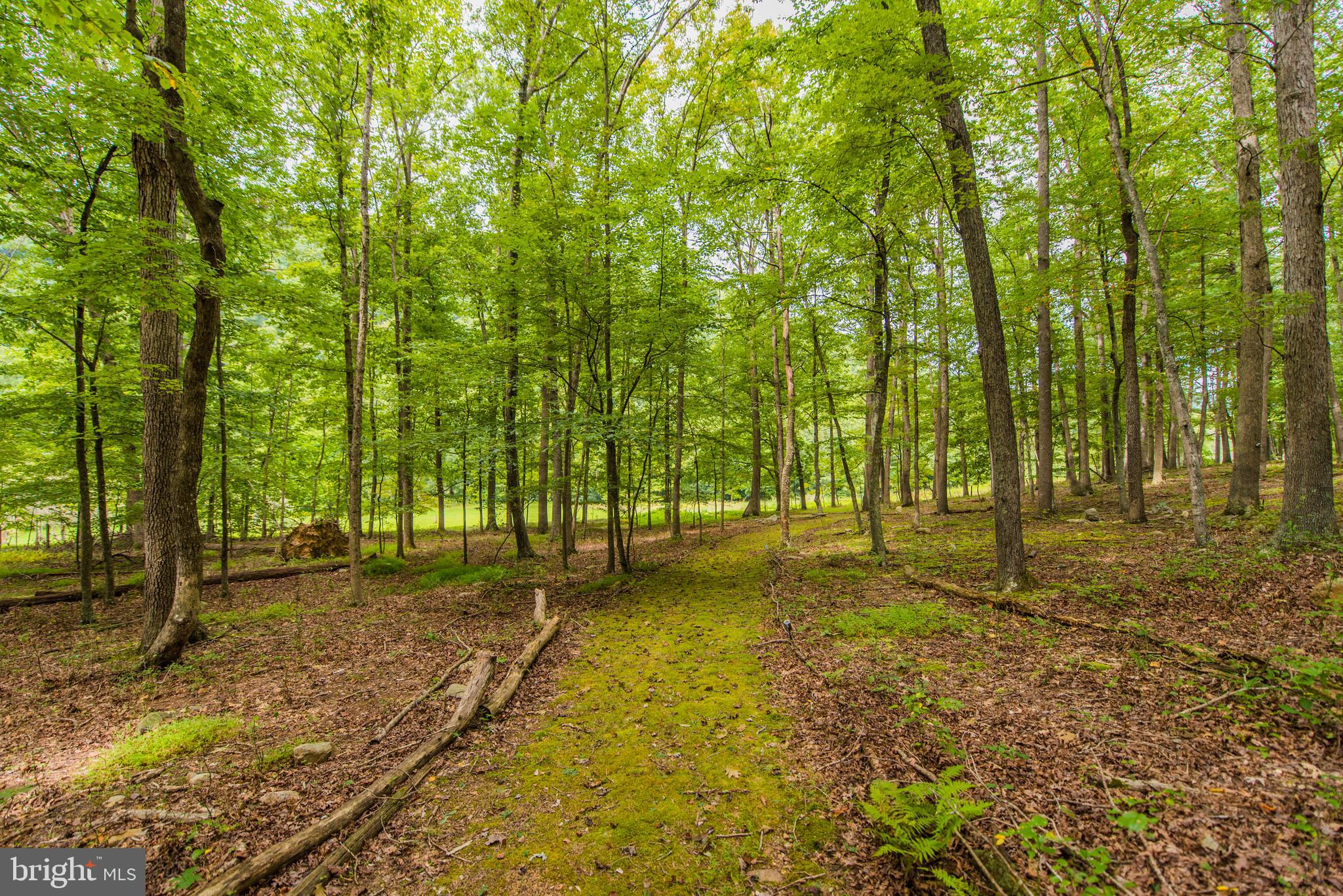 VOS MOUNTAIN - Residential