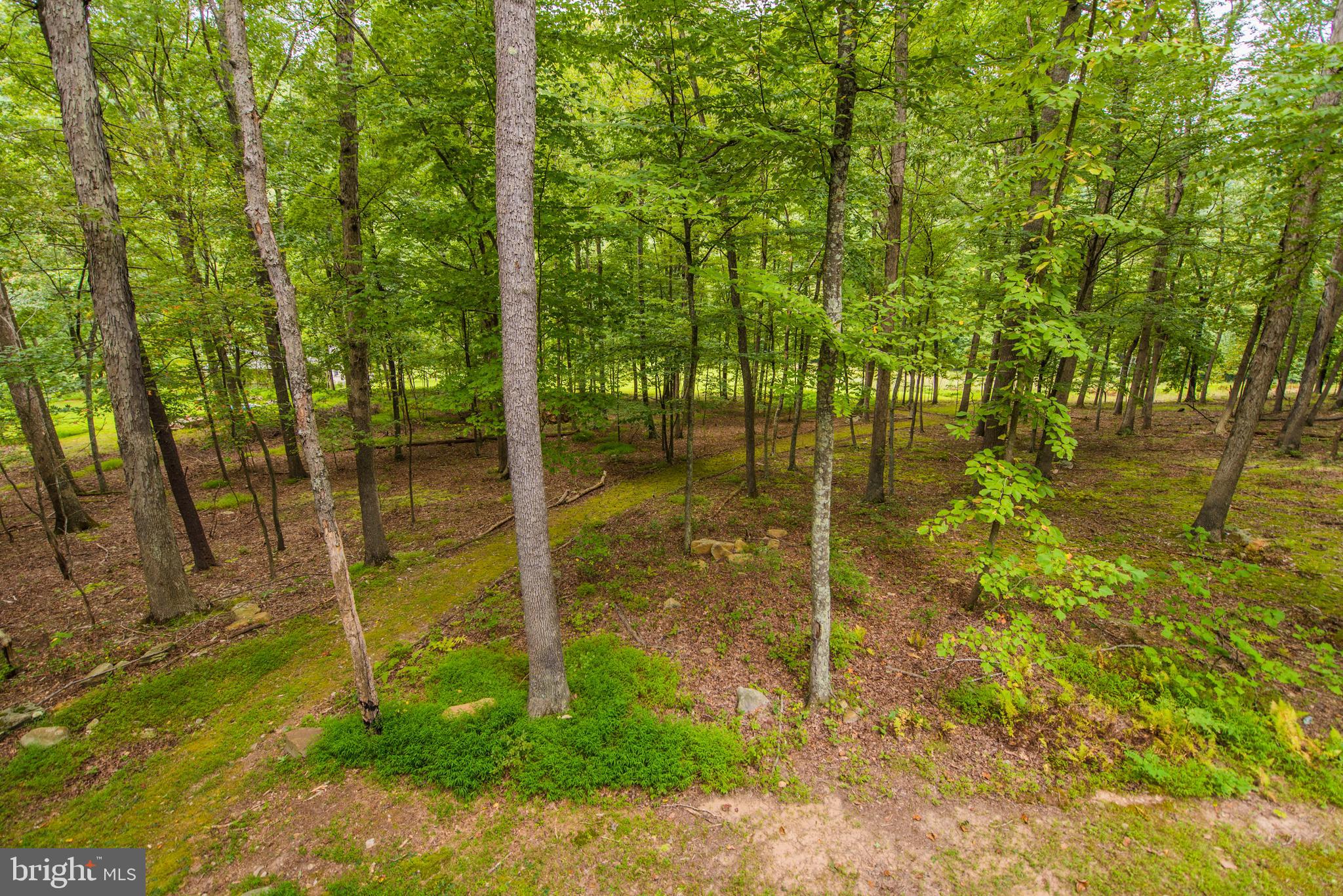 VOS MOUNTAIN - Residential