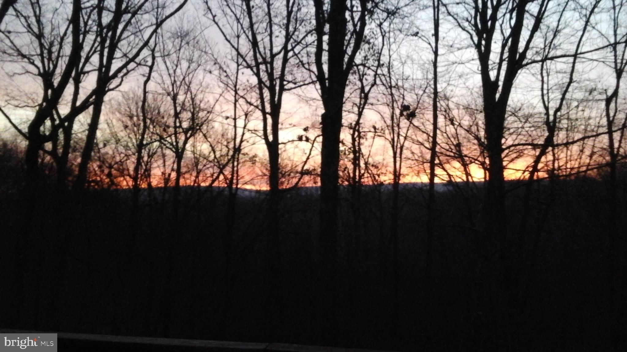 POTOMAC VALLEY VISTA - Land