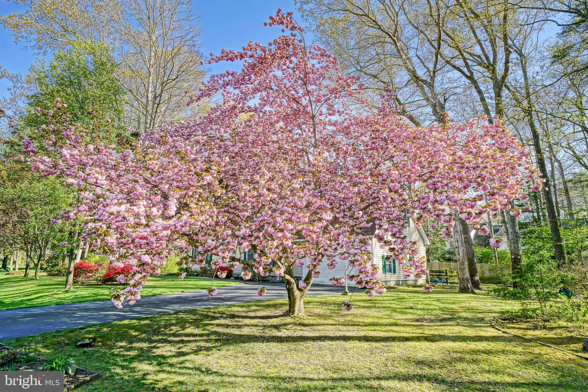 Lewes, Delaware 19958, United States, 3 Bedrooms Bedrooms, ,3 BathroomsBathrooms,Residential,Active,116911