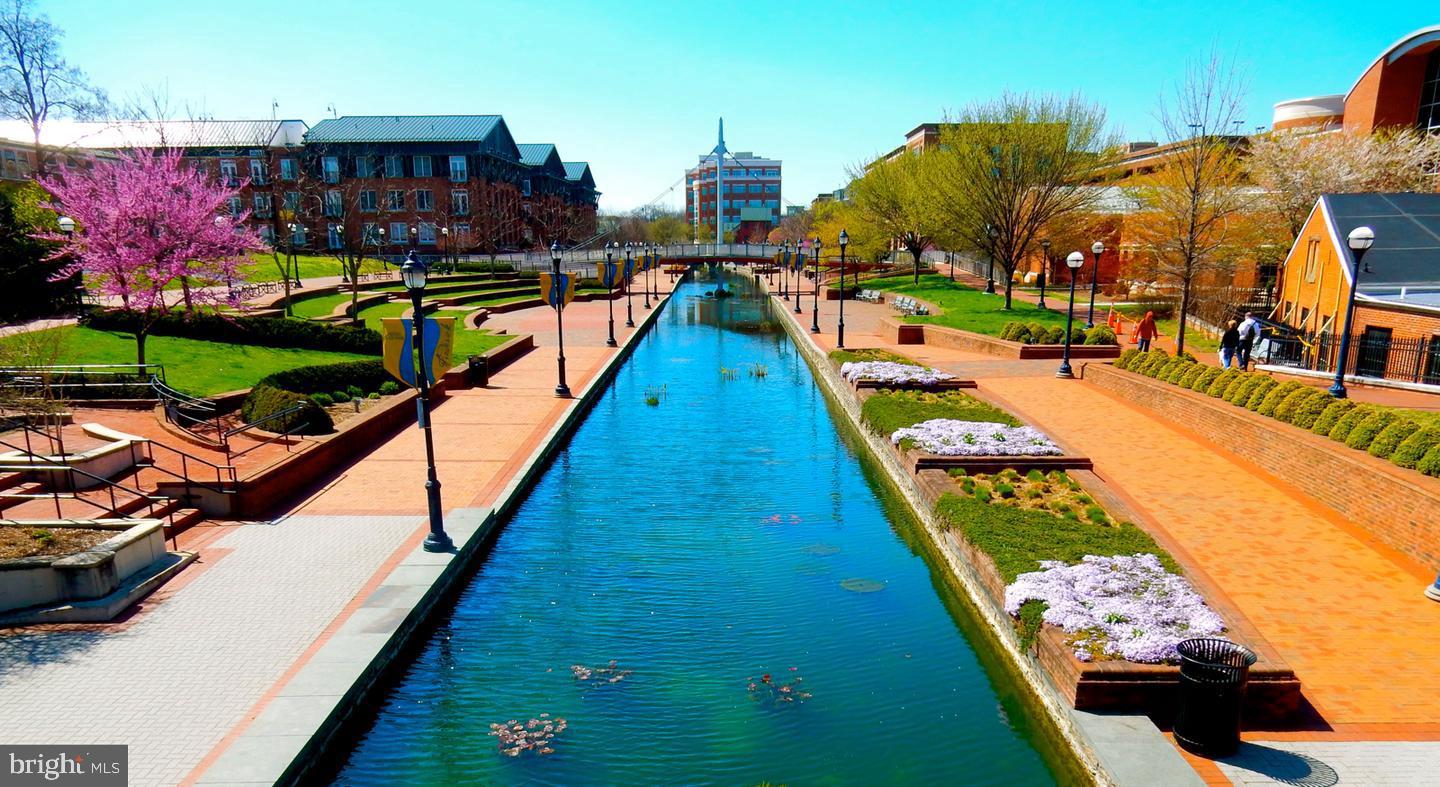 DOWNTOWN FREDERICK - Residential