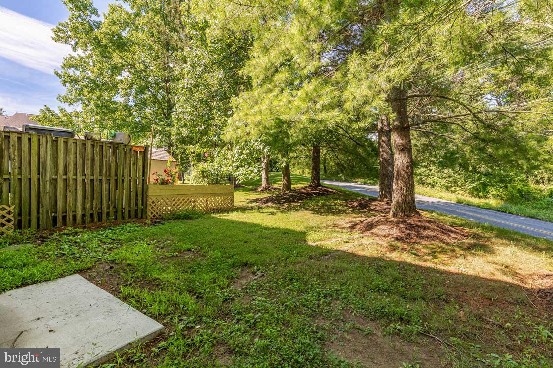 20252 RED BUCKEYE COURT