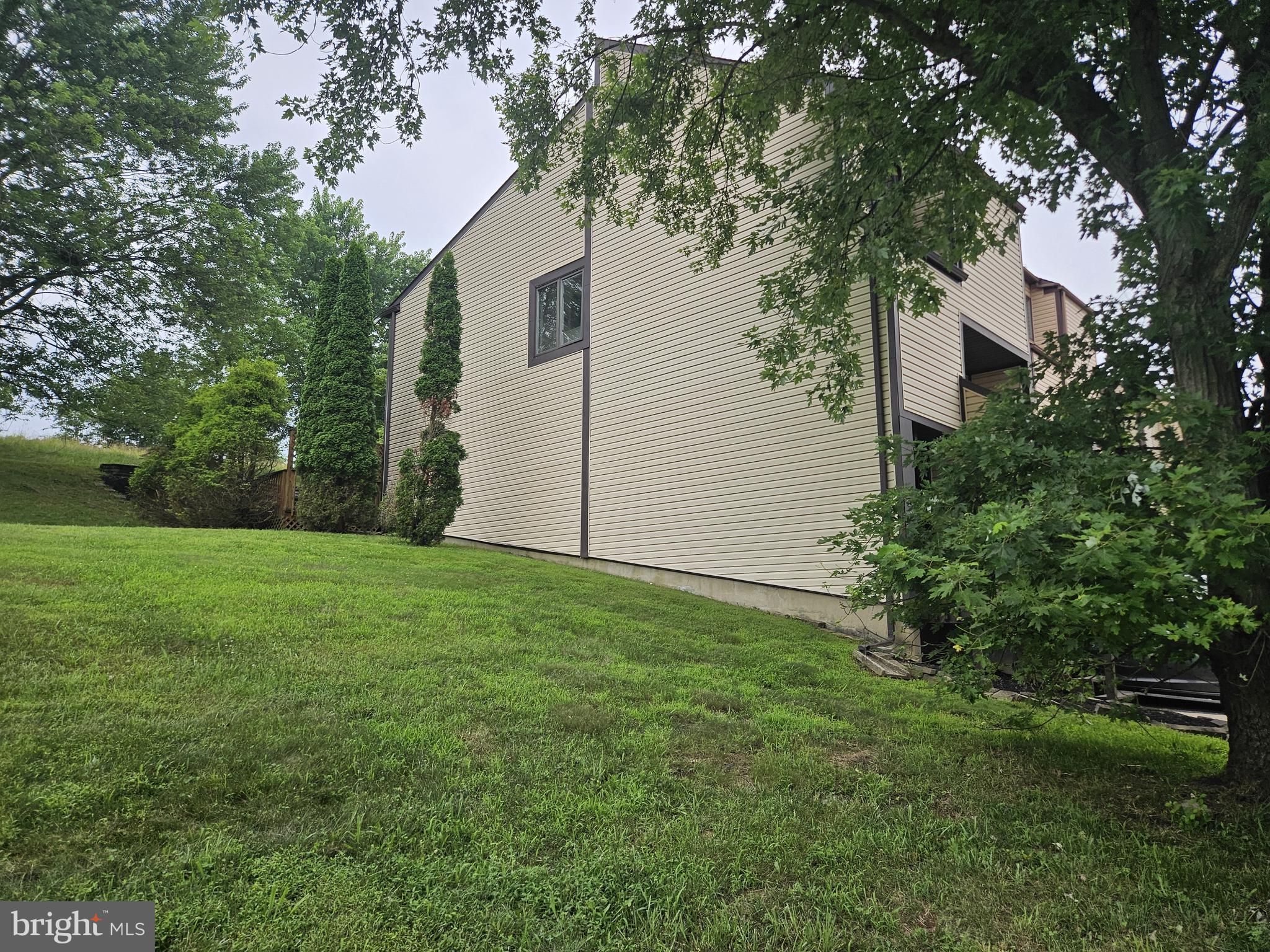 3239 BROOKLINE ROAD