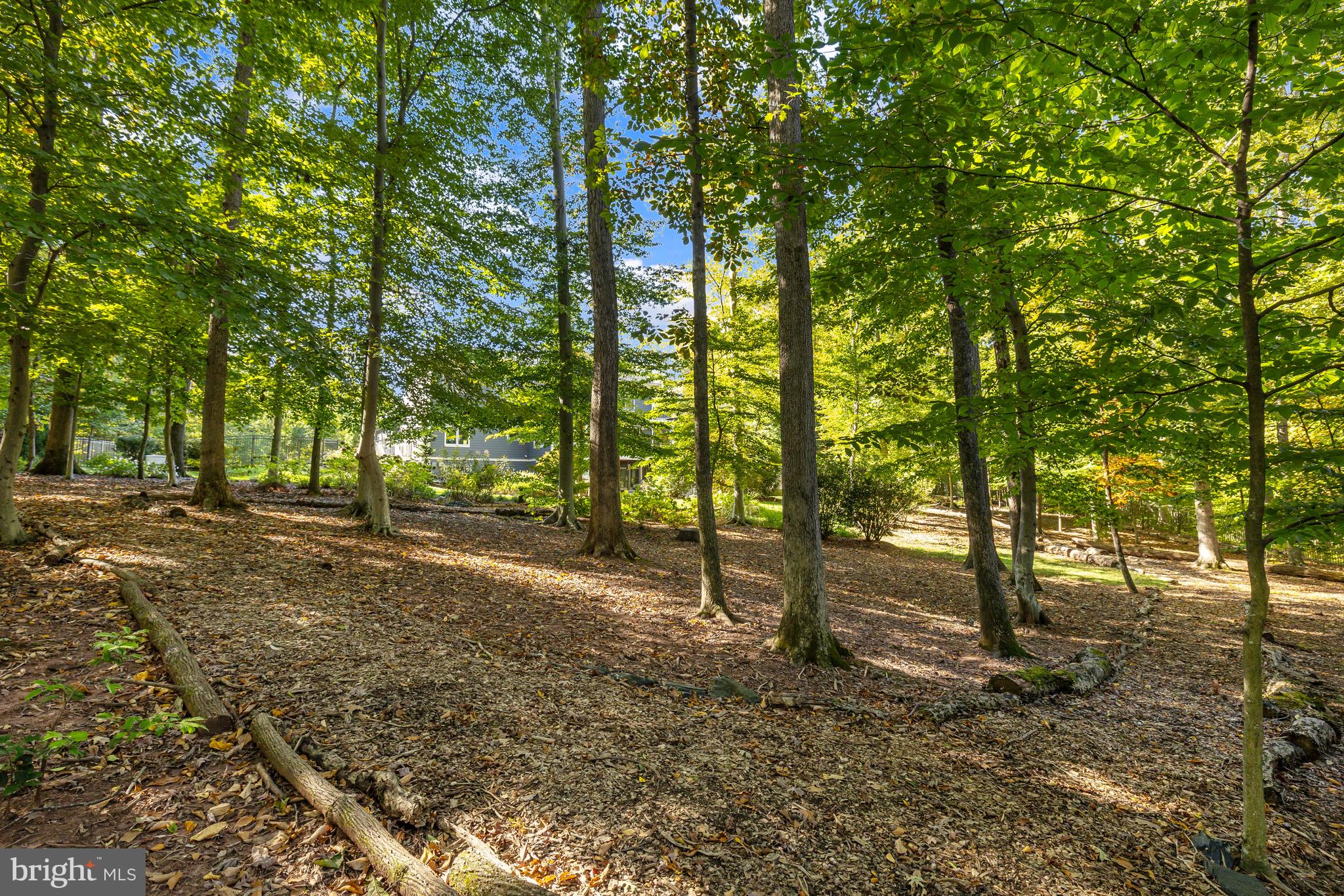 SENECA GREEN - Residential