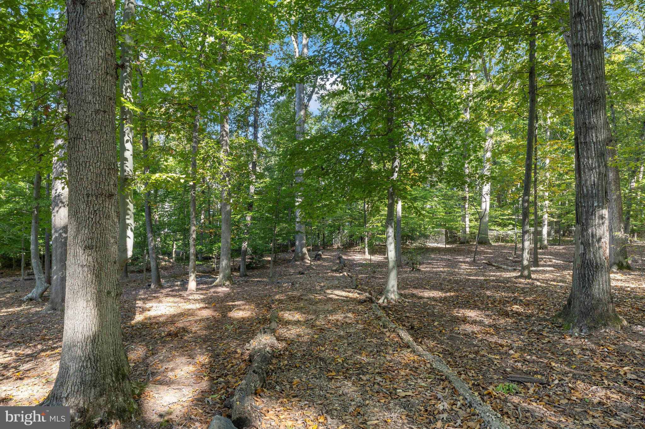 SENECA GREEN - Residential