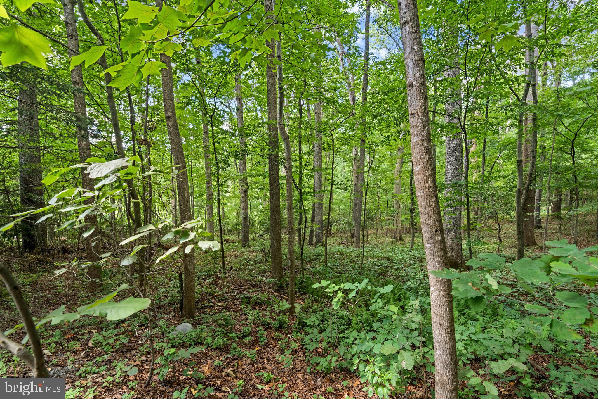 OFFUTT HOME TRACT - Residential