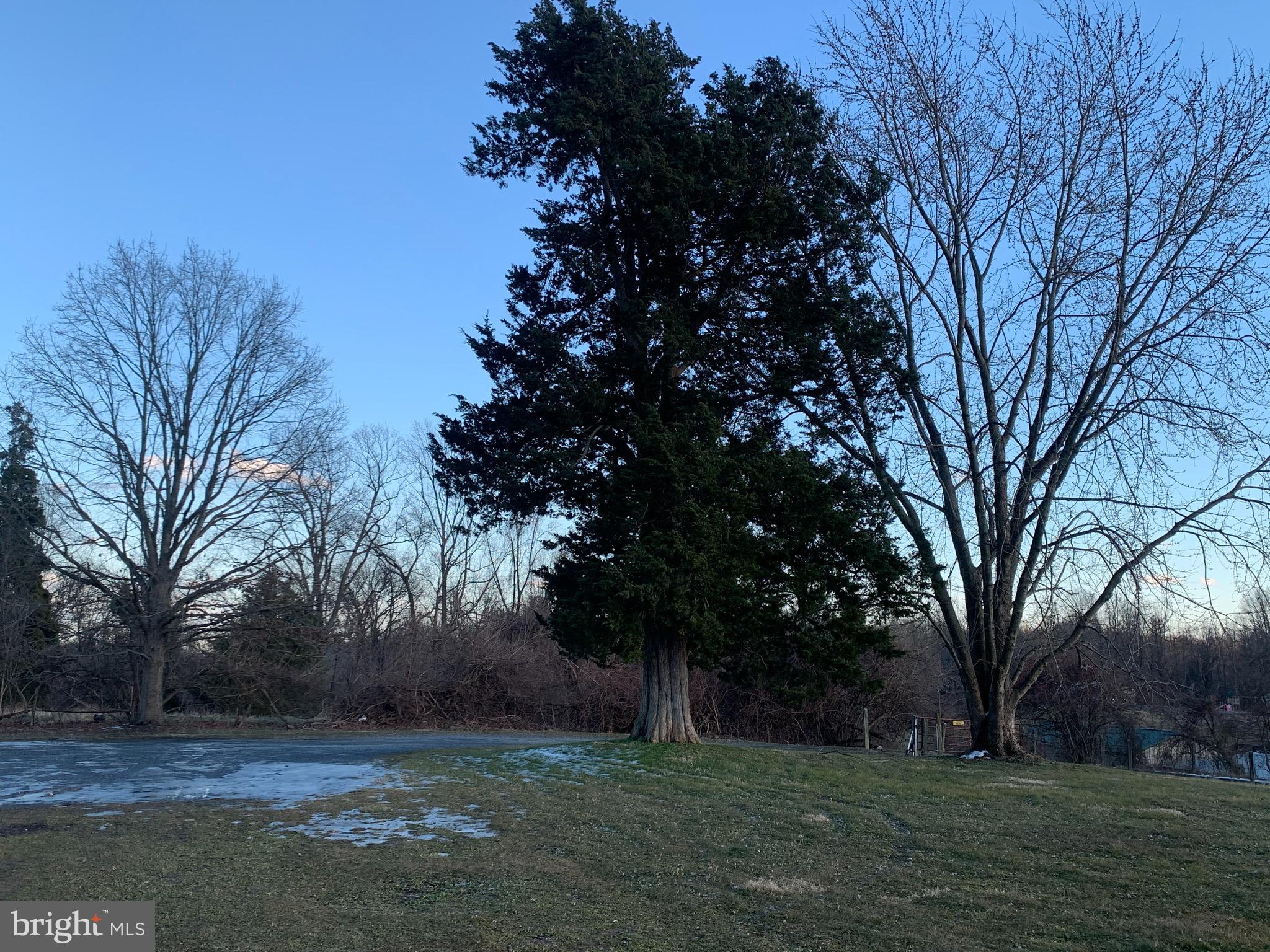BIRDSVILLE - Residential