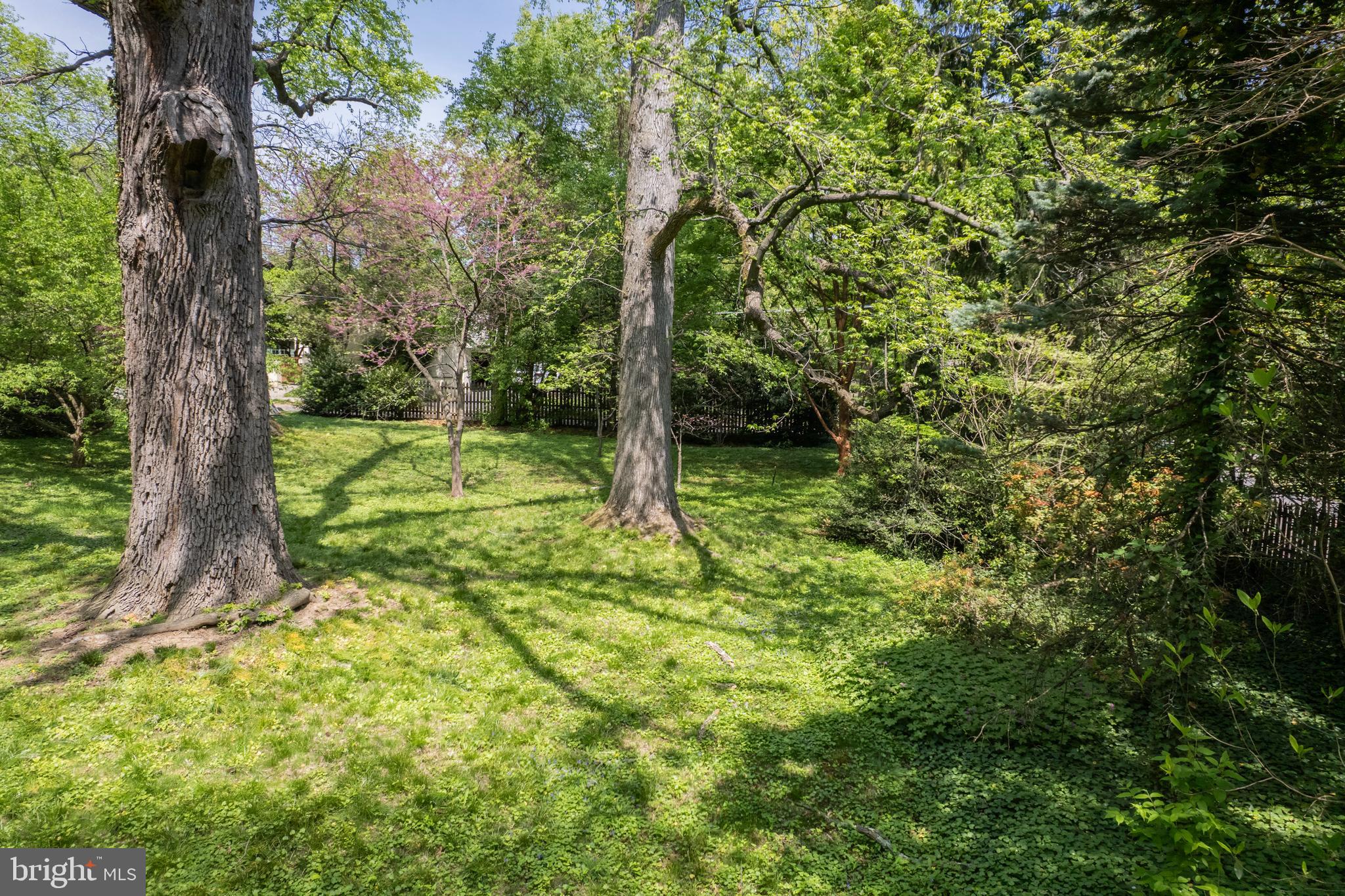 CHESTNUT HILL - Land