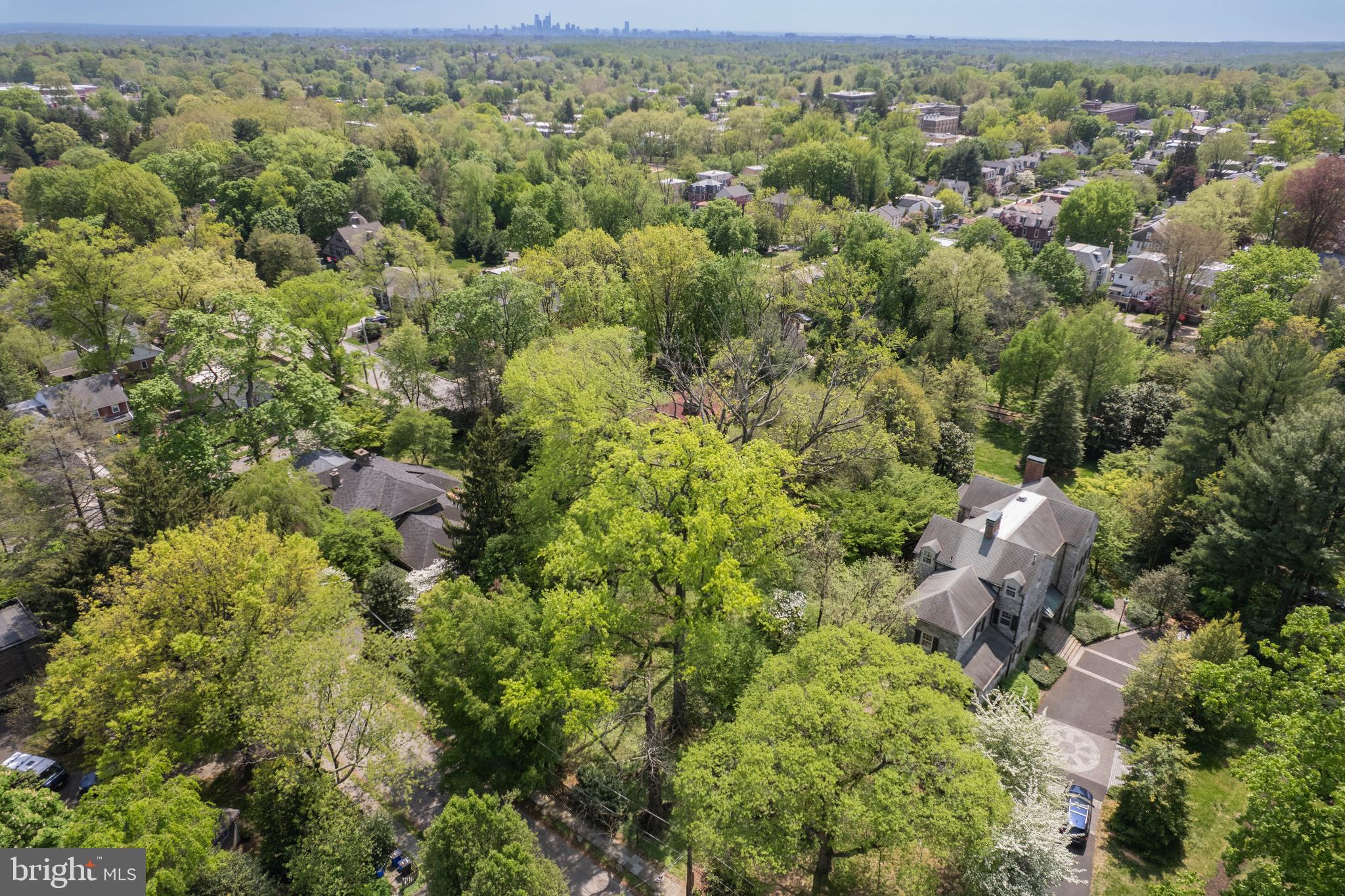 CHESTNUT HILL - Land