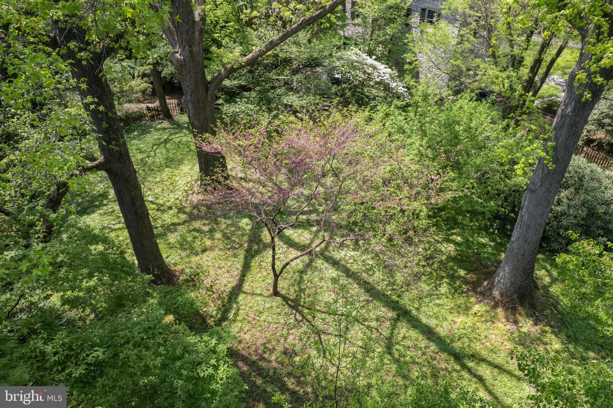 CHESTNUT HILL - Land