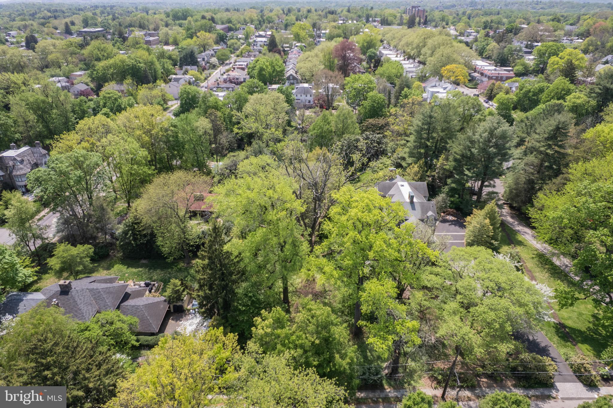 CHESTNUT HILL - Land