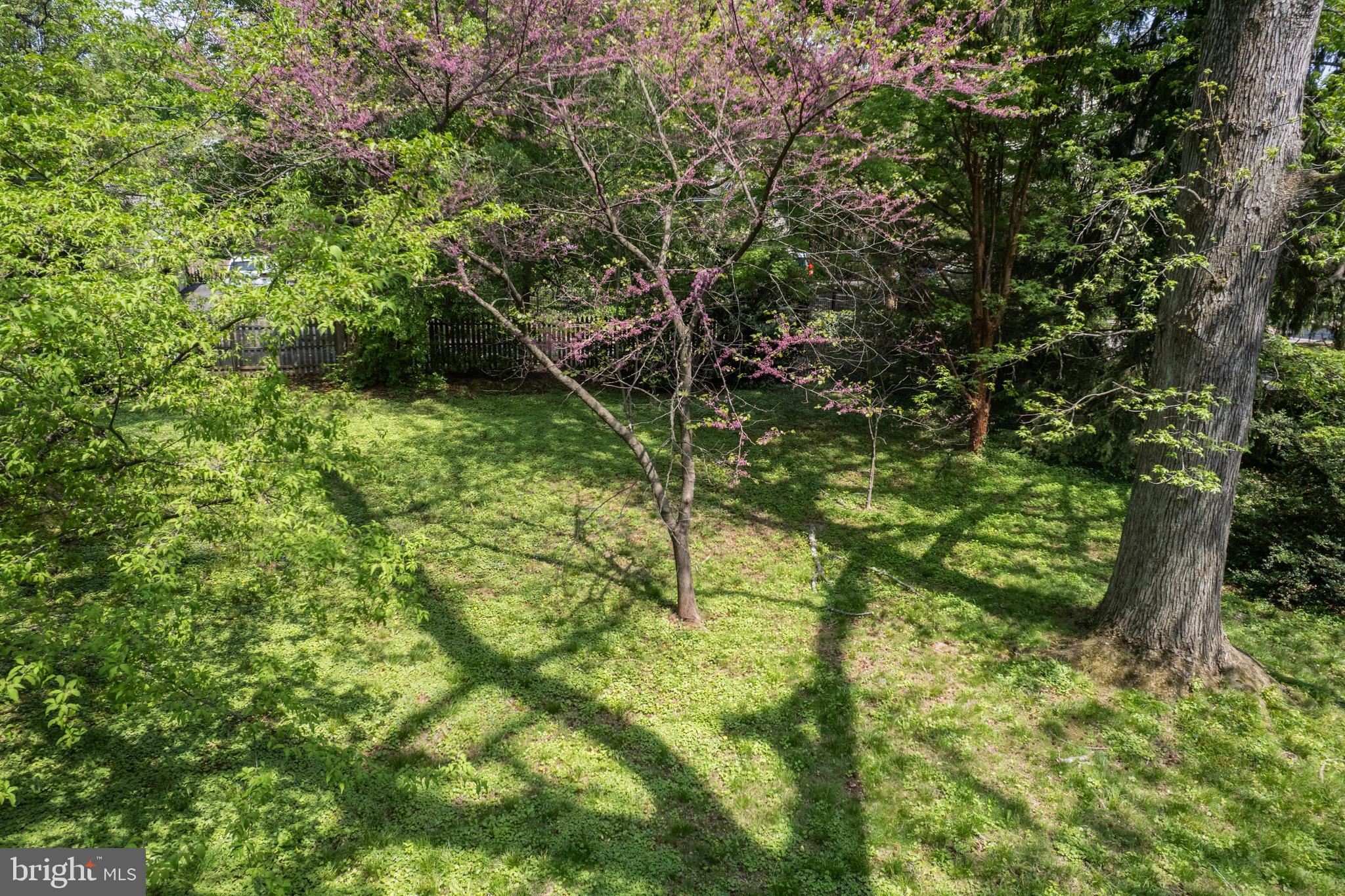 CHESTNUT HILL - Land